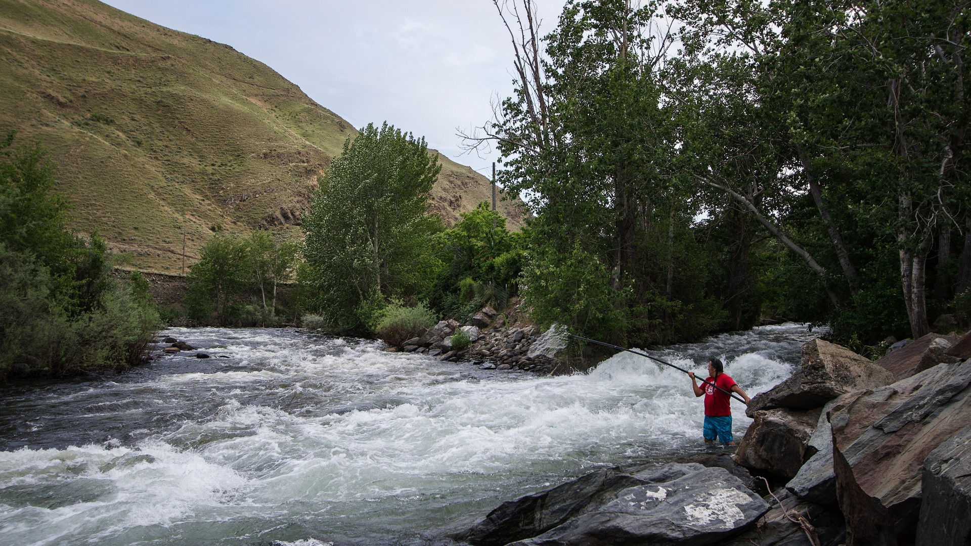 Covenant of the Salmon People