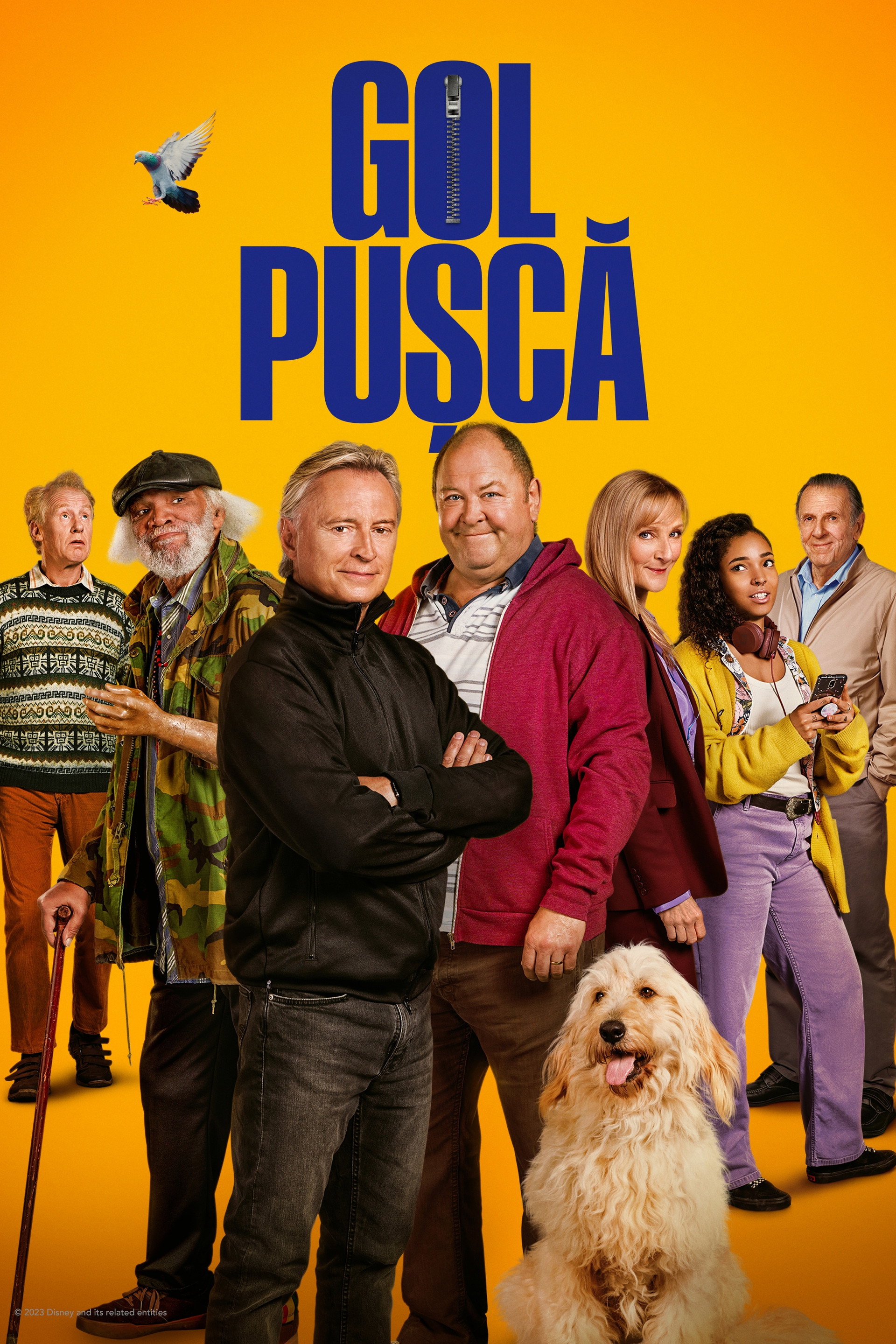Gol pușcă