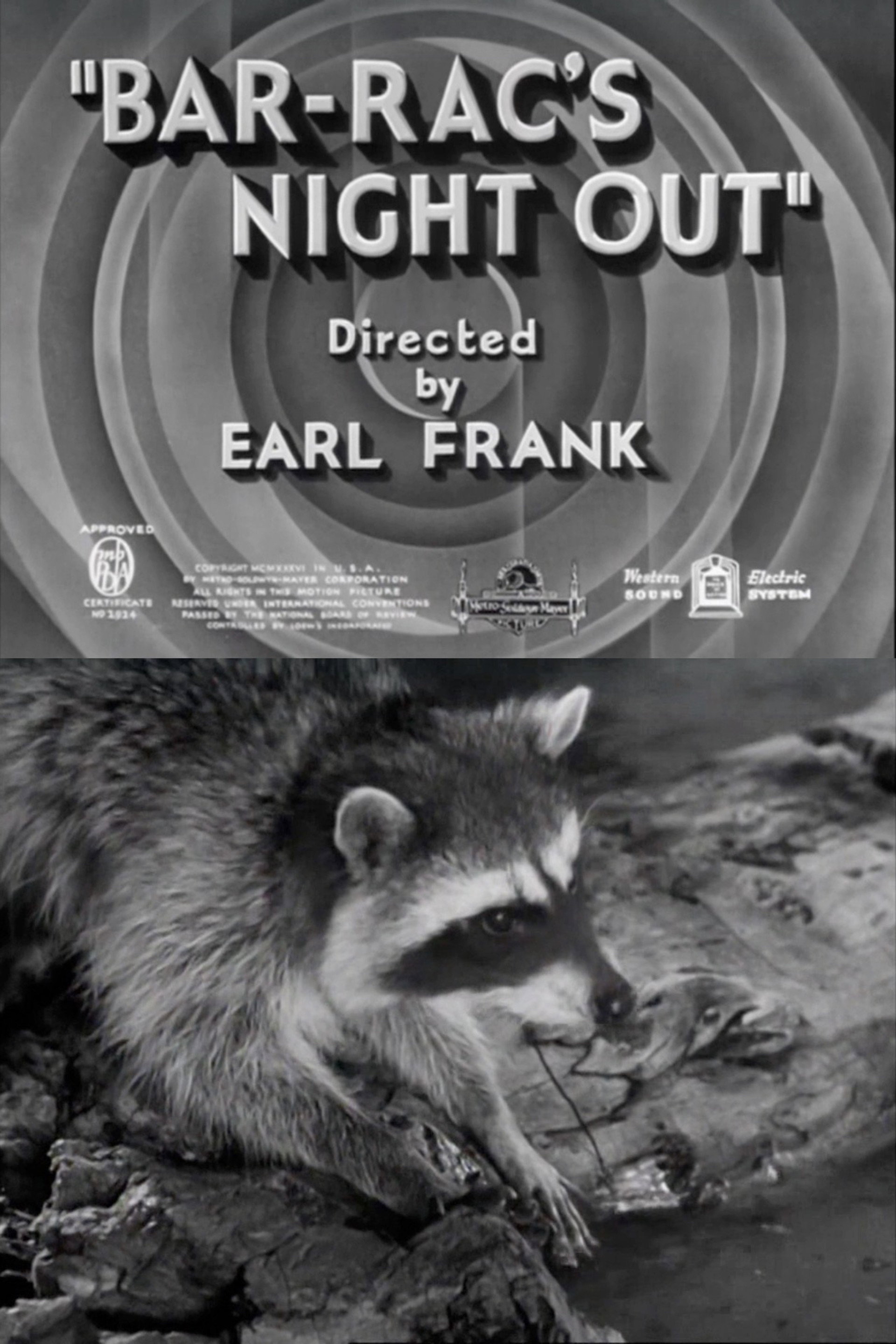 Bar-Rac's Night Out