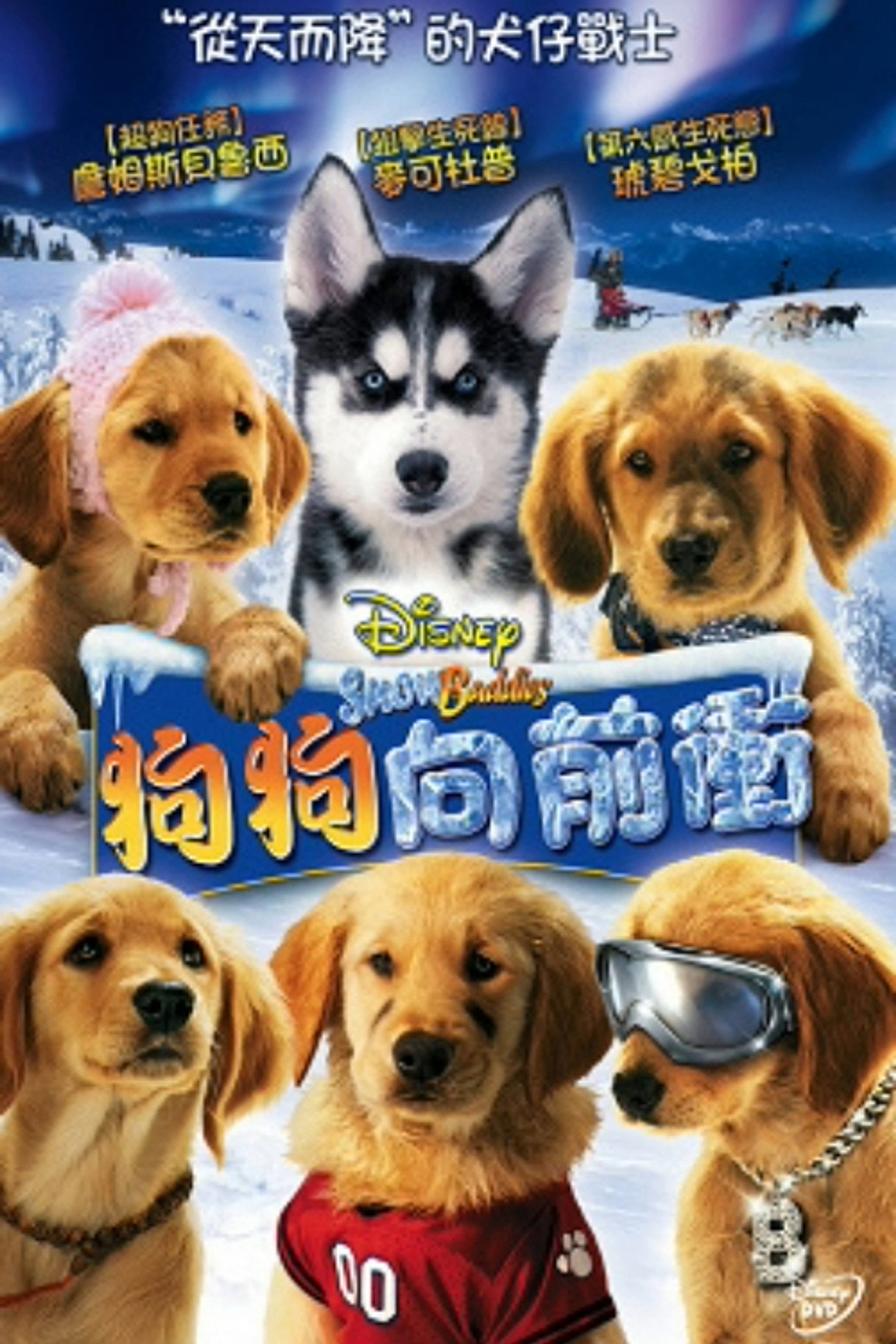雪地巴迪