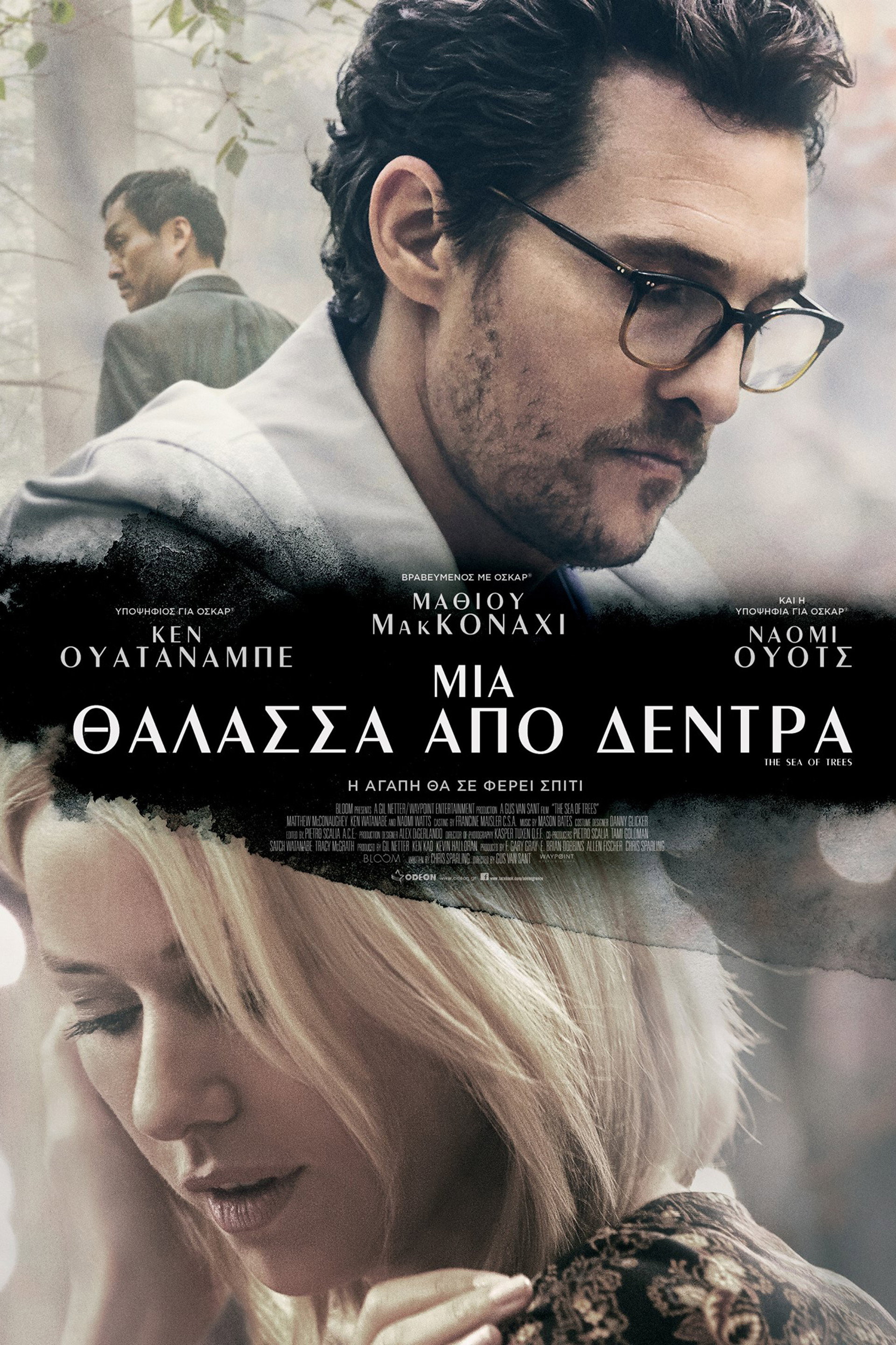 Μια Θάλασσα Από Δέντρα