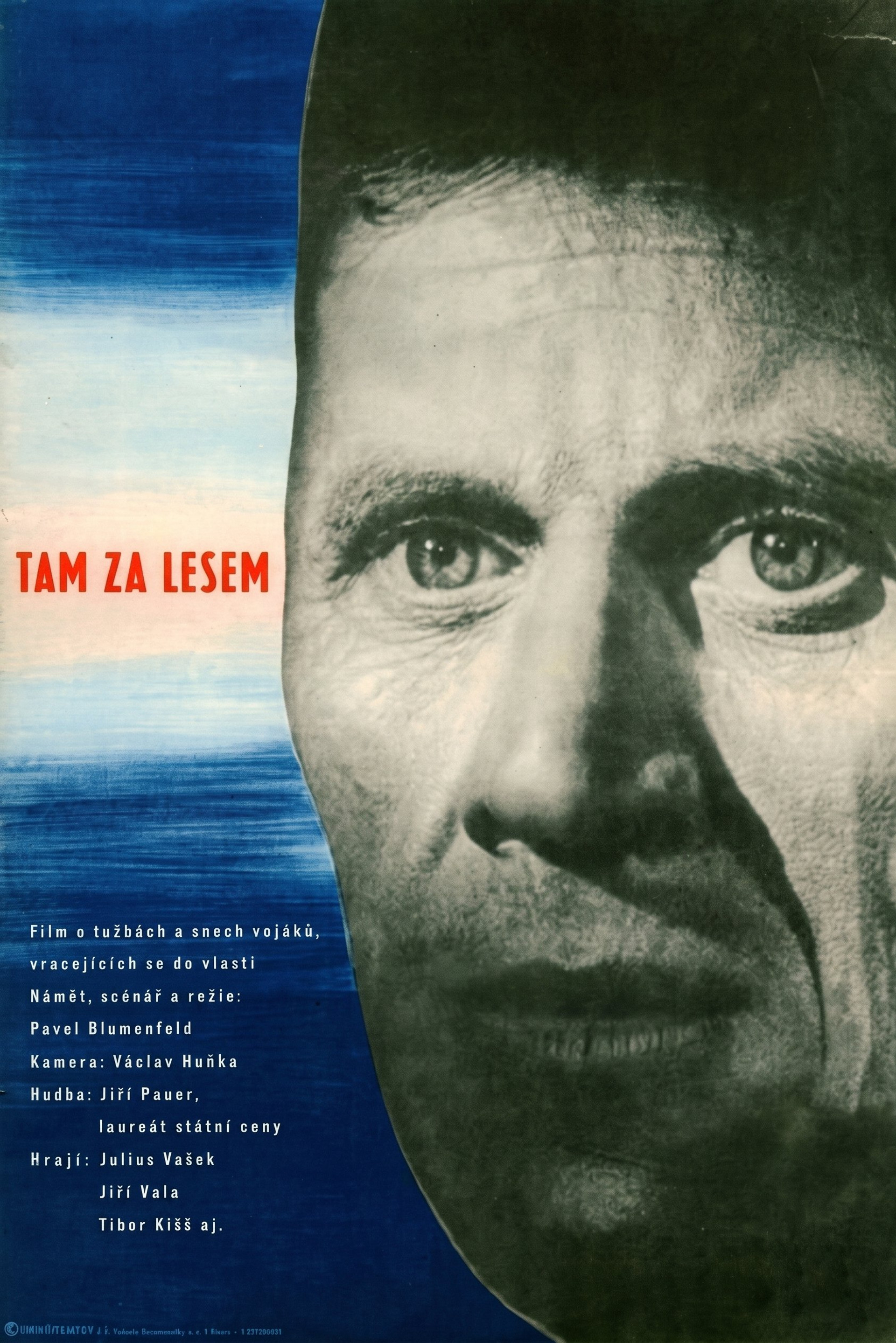 Tam za lesem