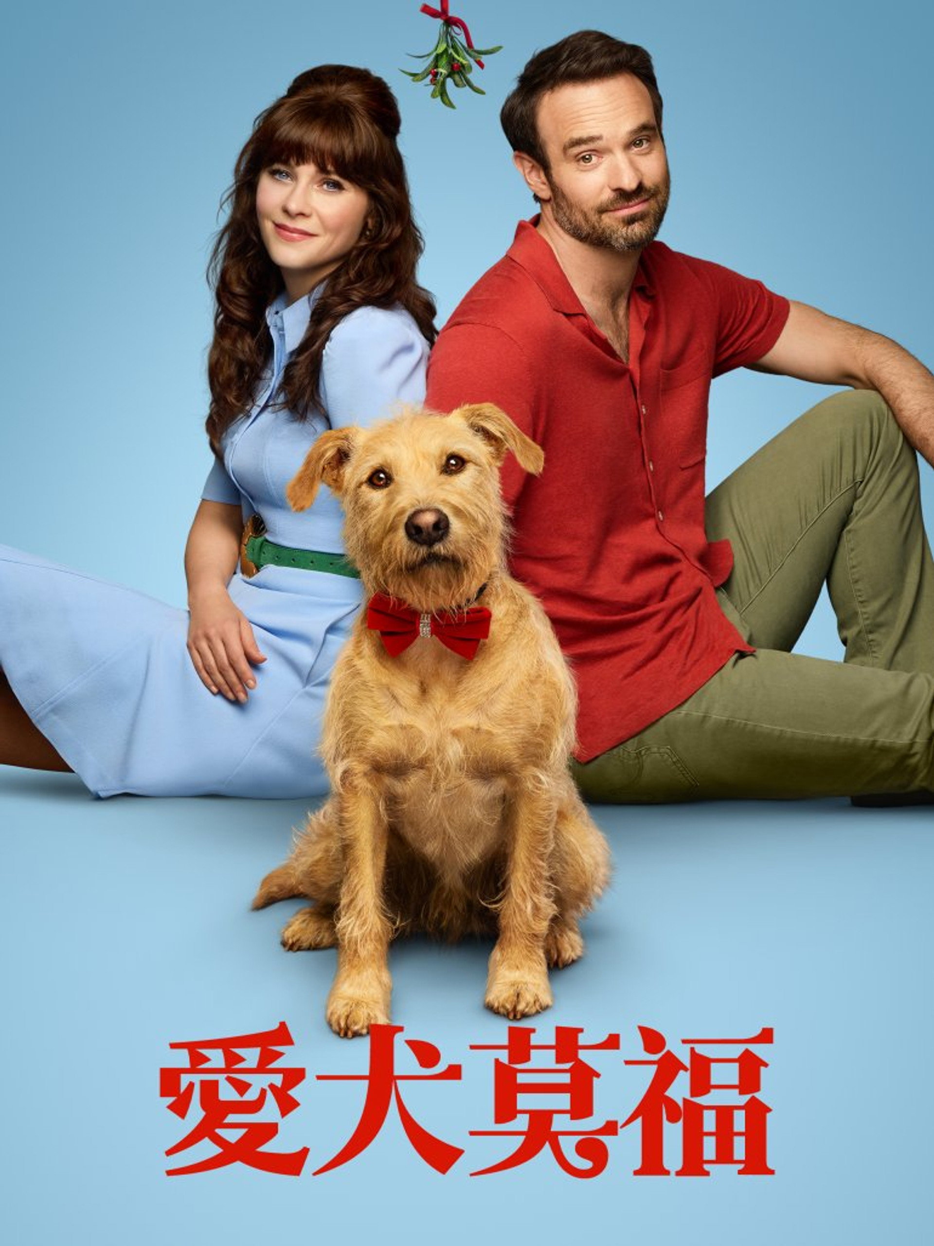 爱犬莫福