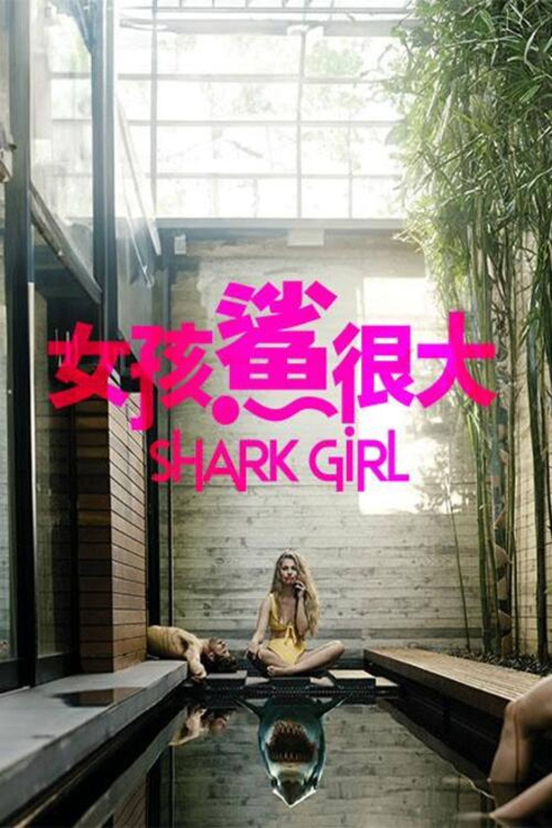 鲨鱼女孩