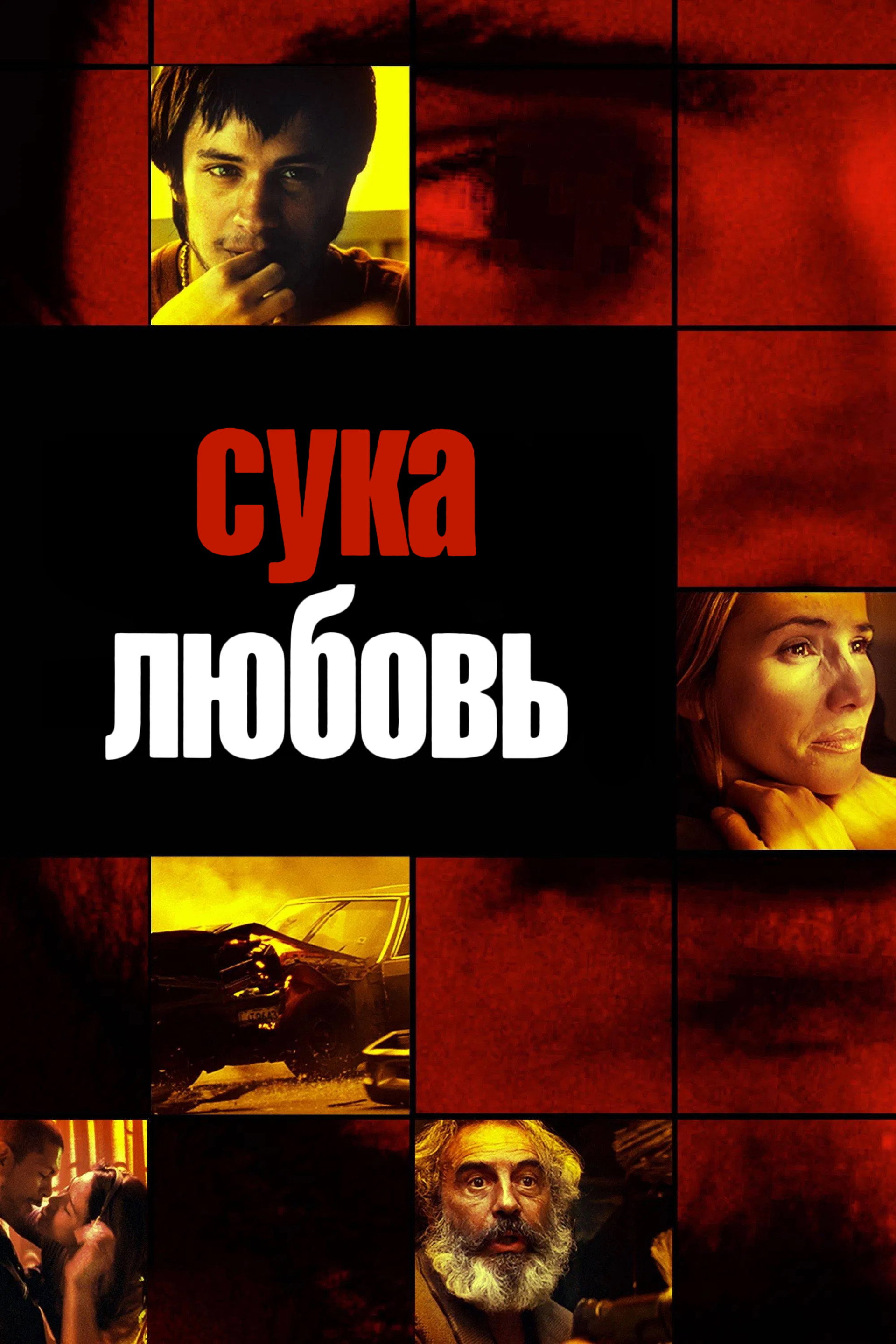 Сука-любовь