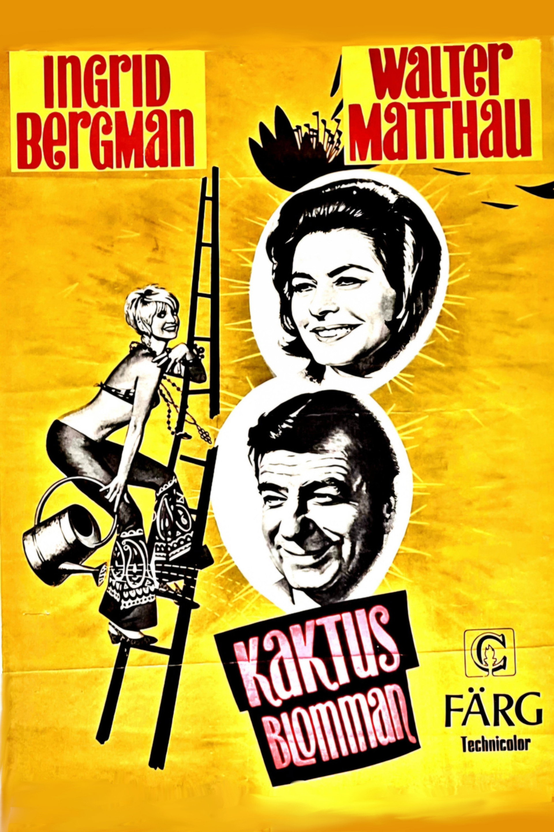 Kaktusblomman