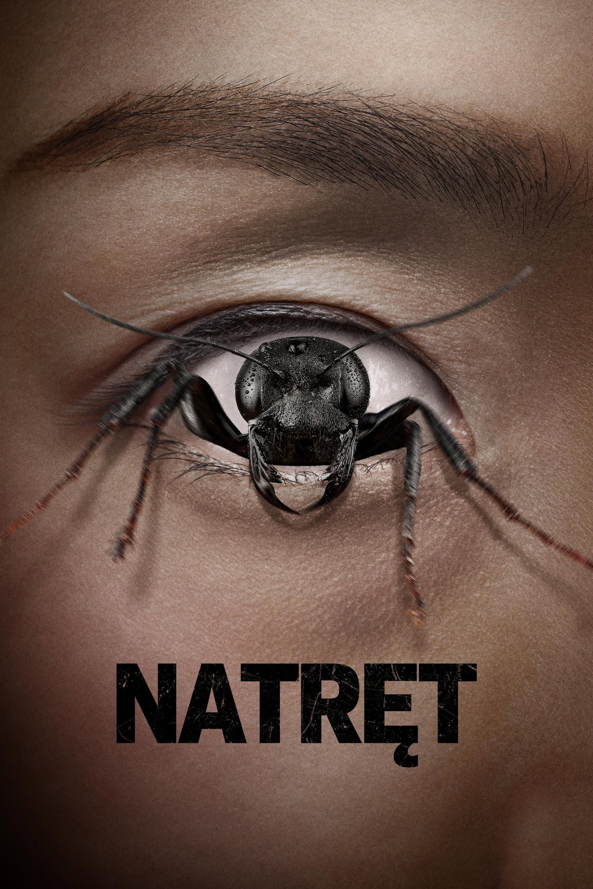 Natręt