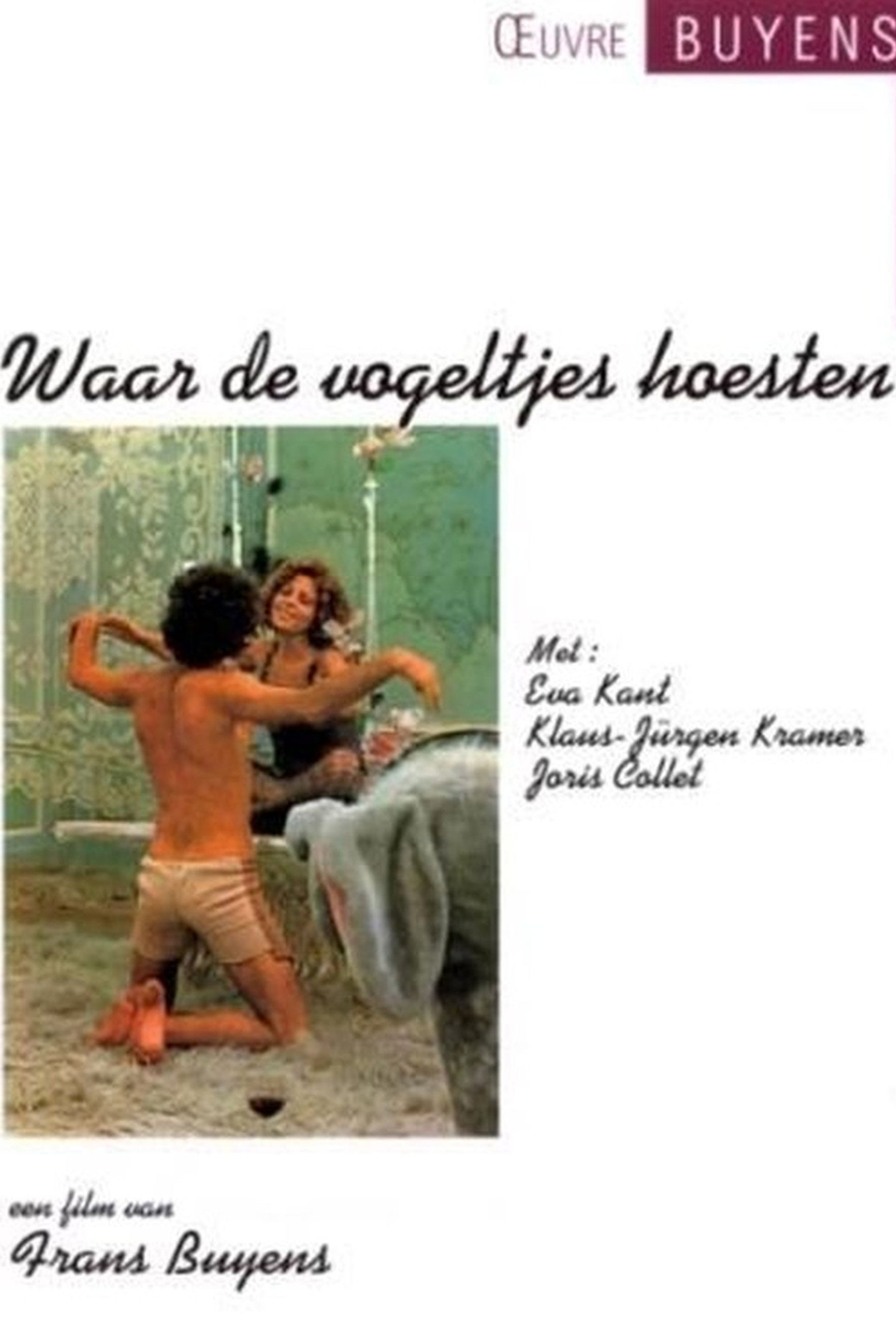 Waar de vogeltjes hoesten
