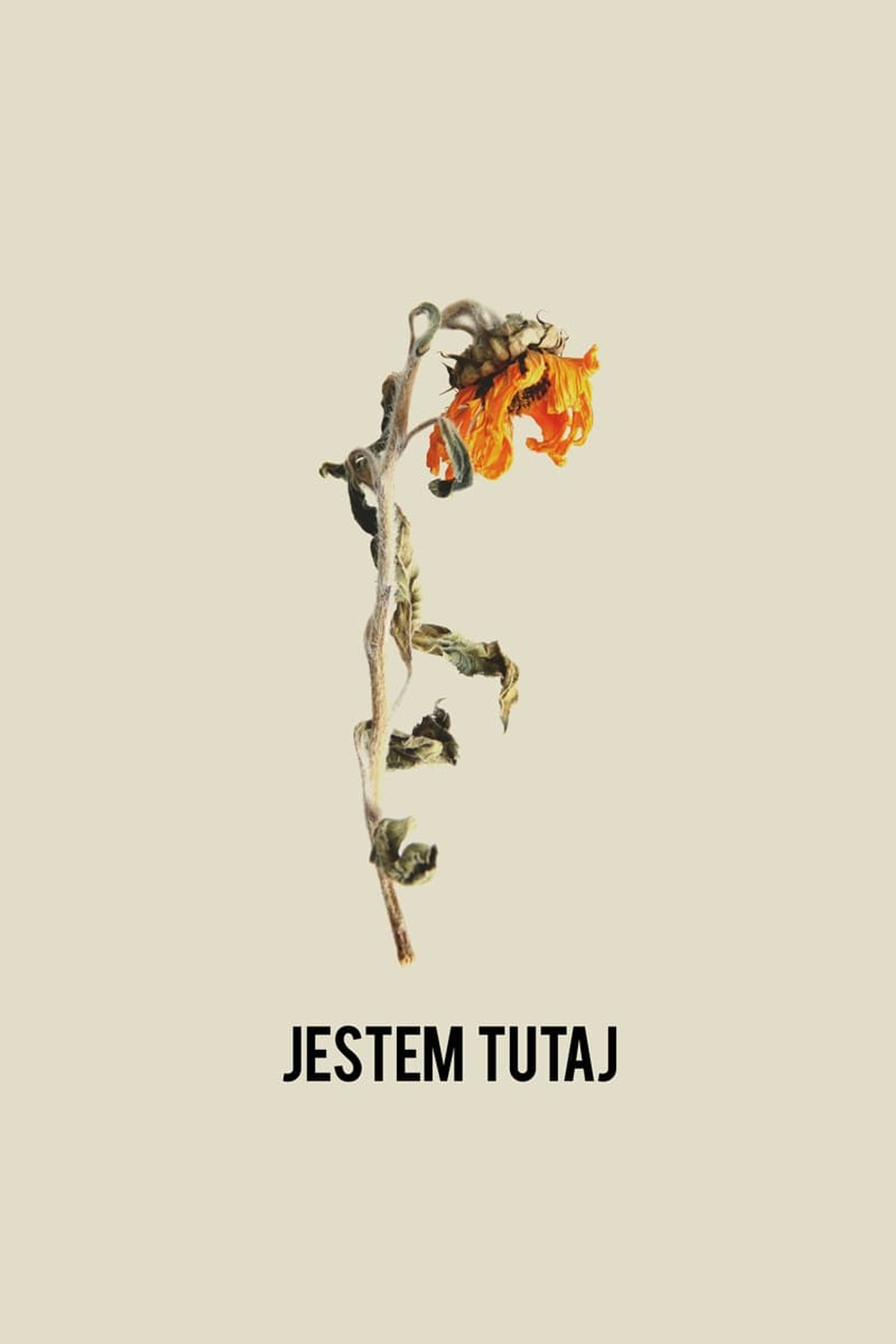 Jestem tutaj