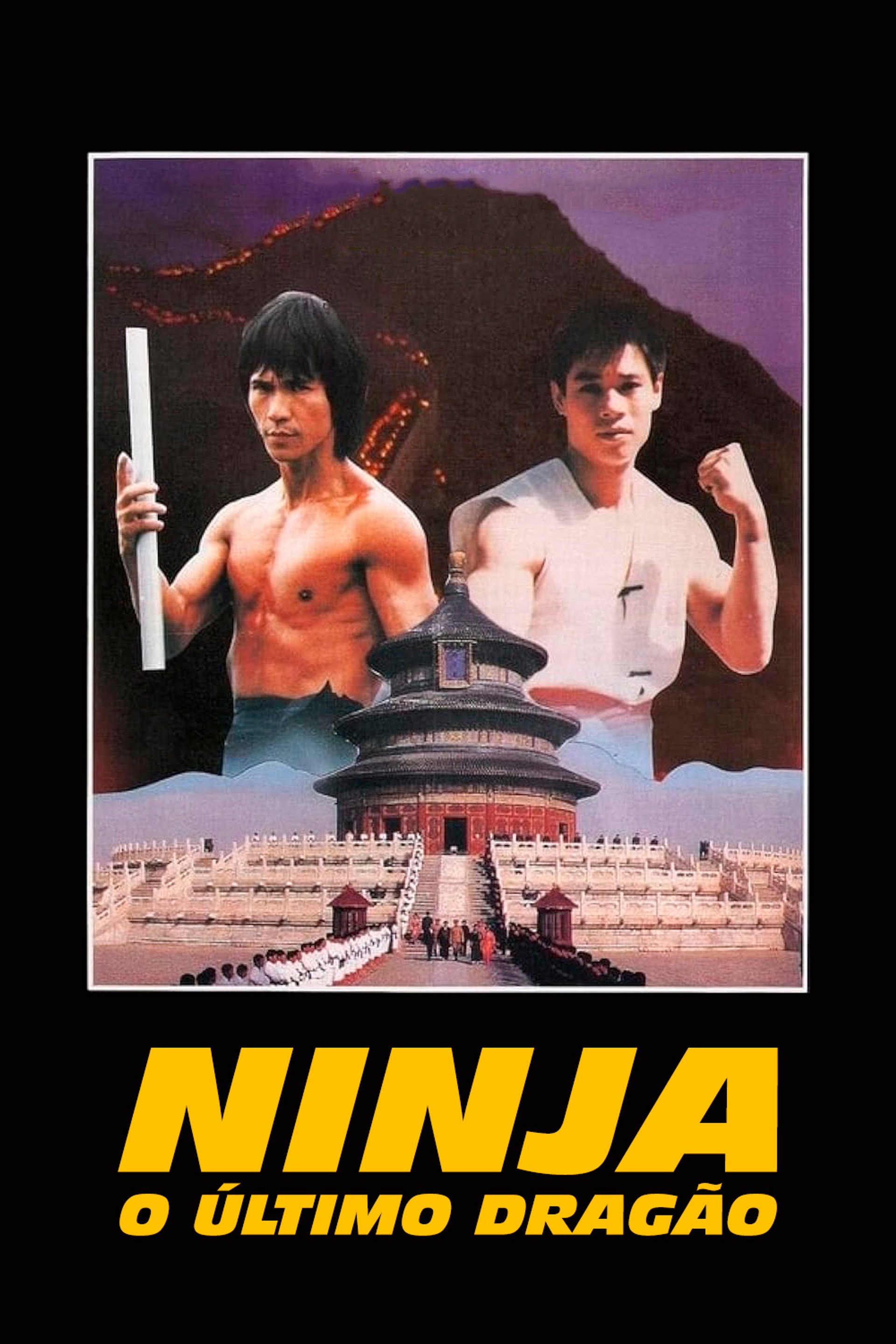 Ninja, o Último Dragão