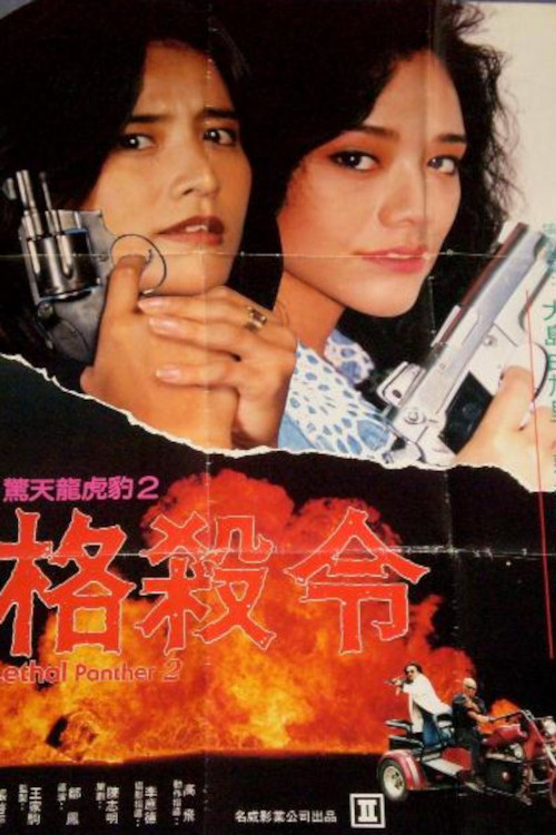 惊天龙虎豹2：格杀令