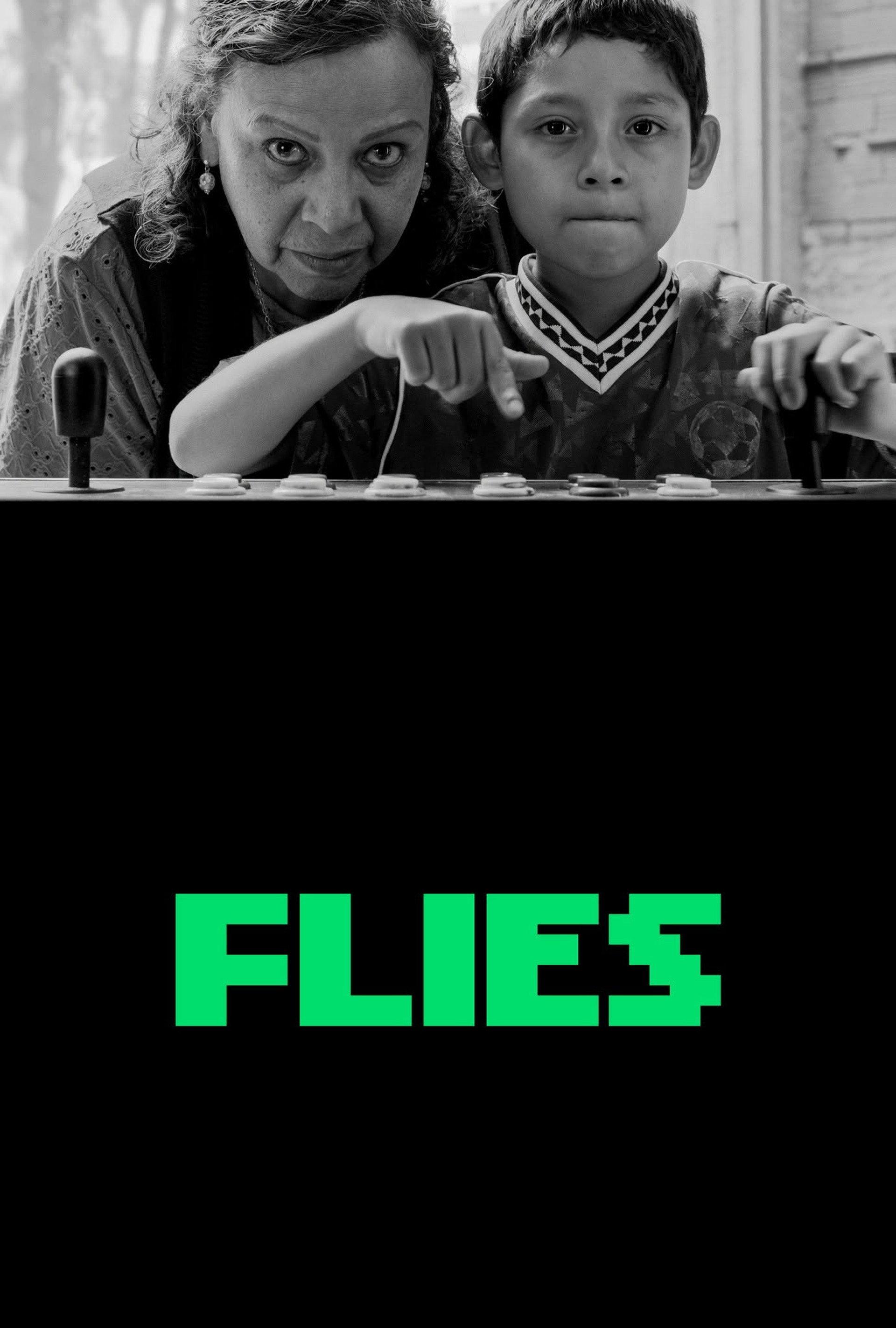 Flies