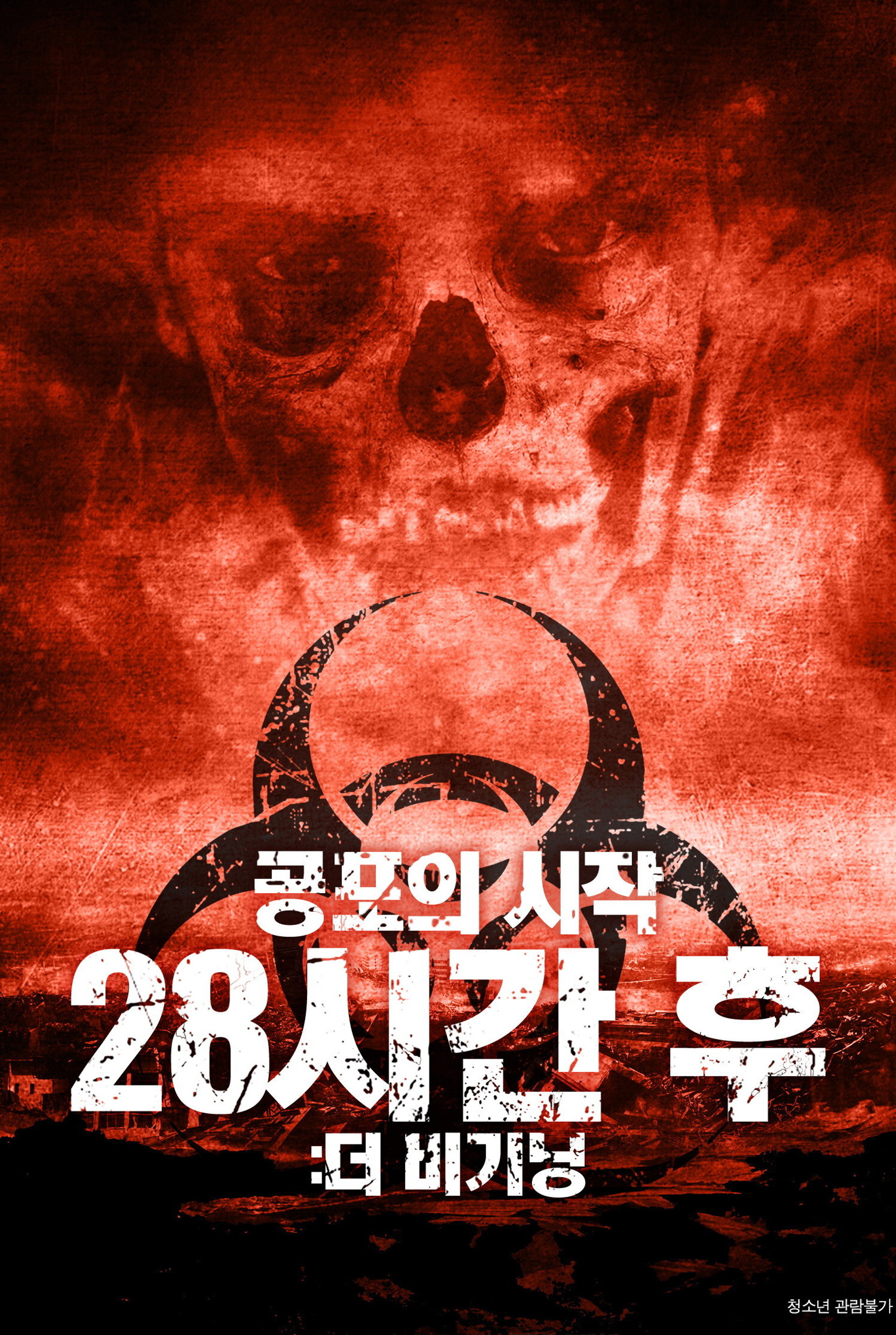 28시간 후: 더 비기닝