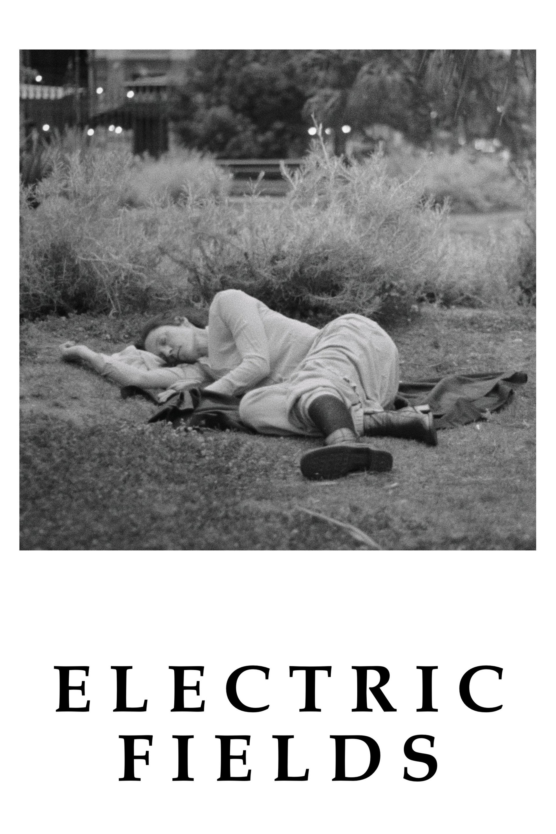 Electric Fields