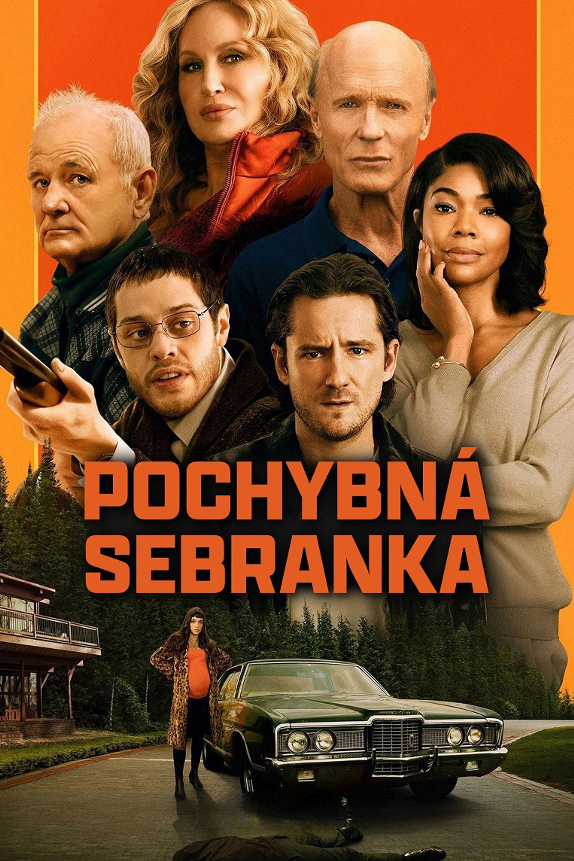 Pochybná sebranka