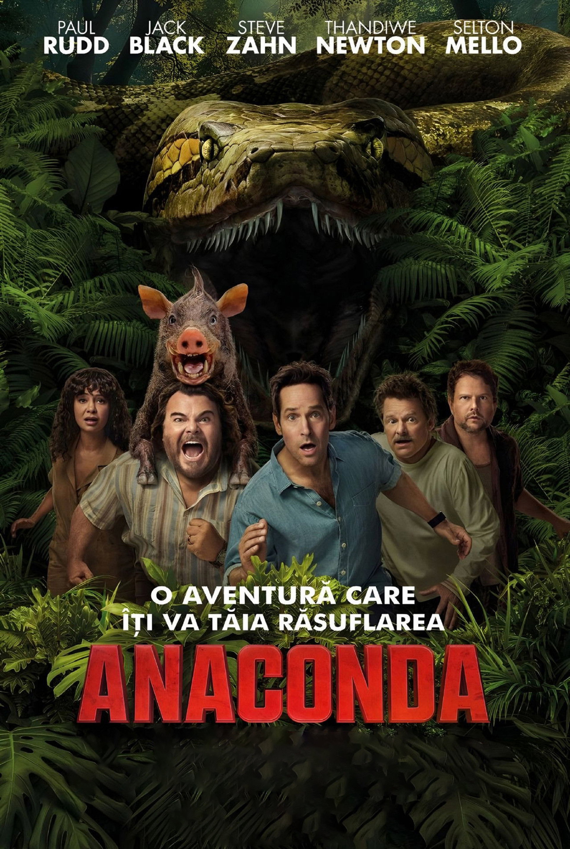 Anaconda