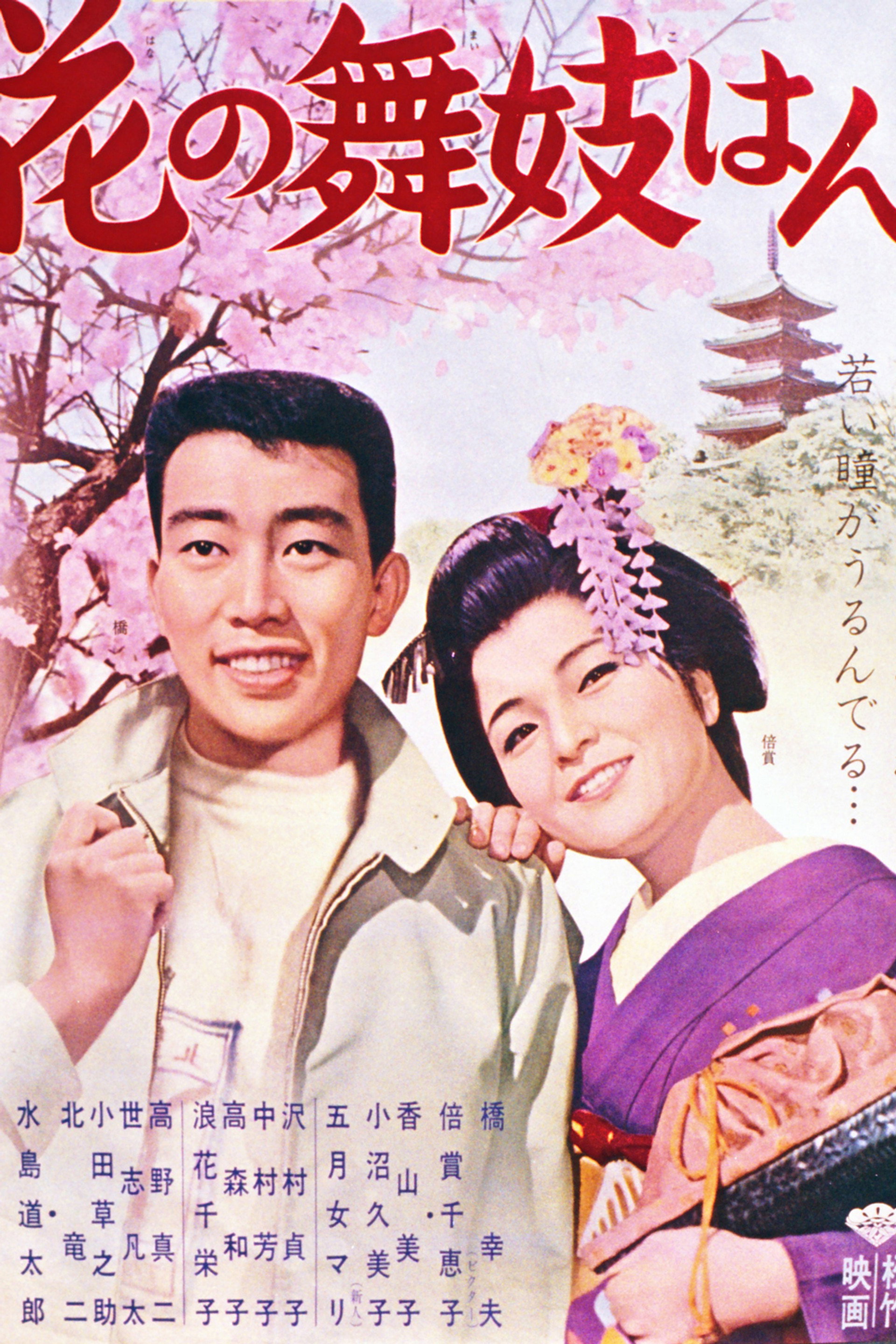 花の舞妓はん