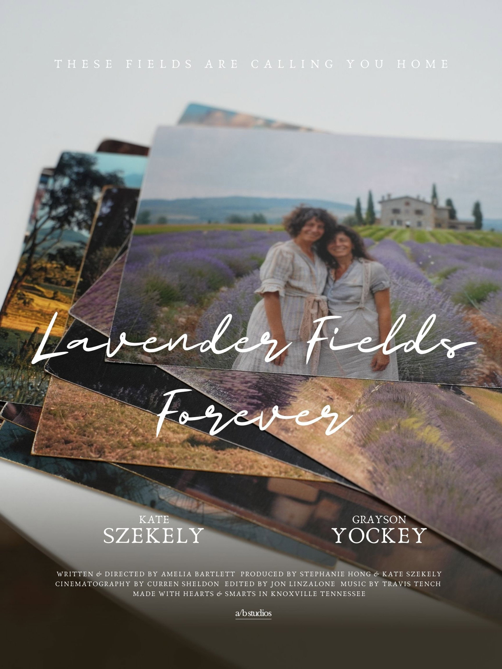 Lavender Fields Forever