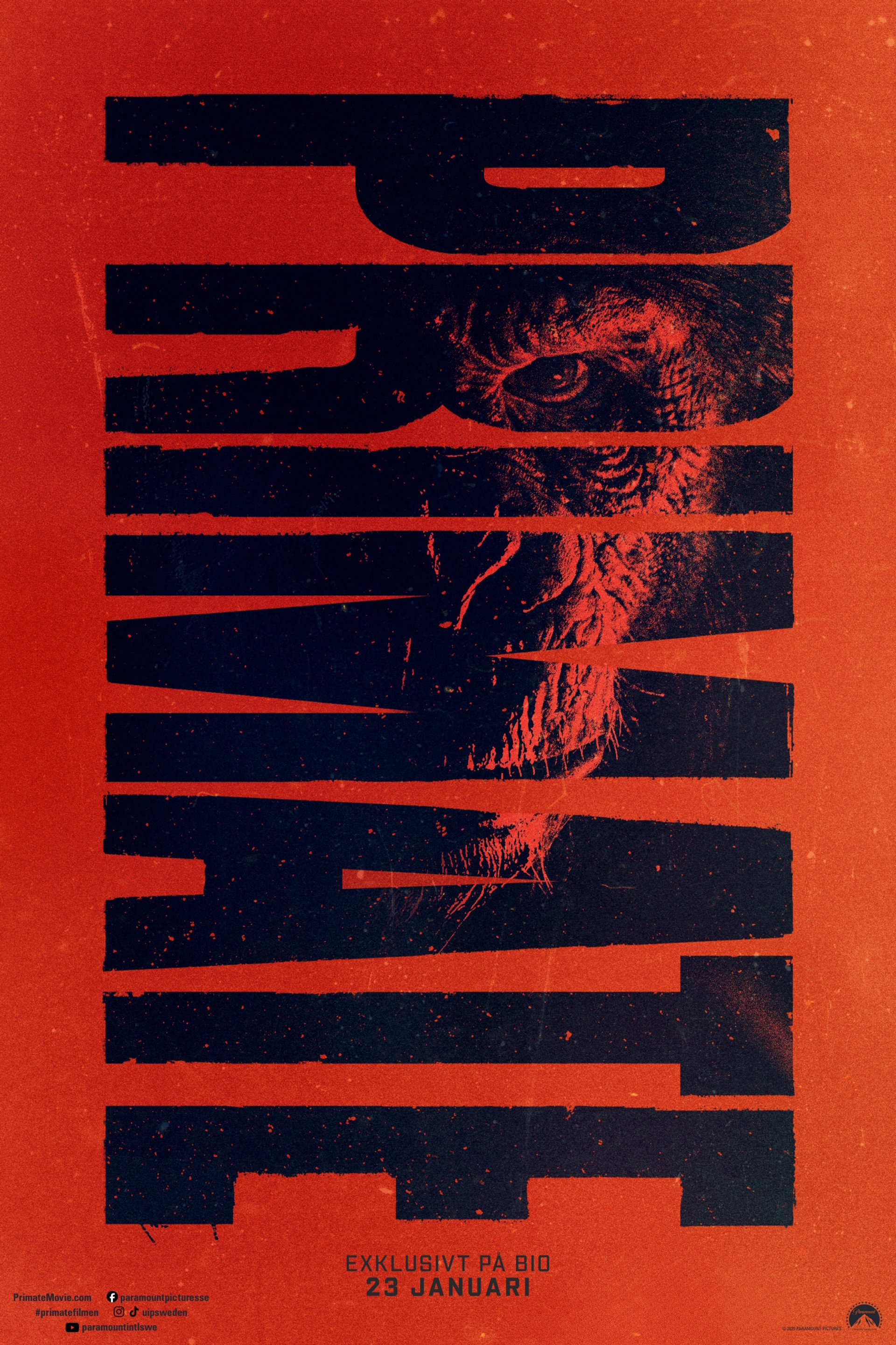 Primate