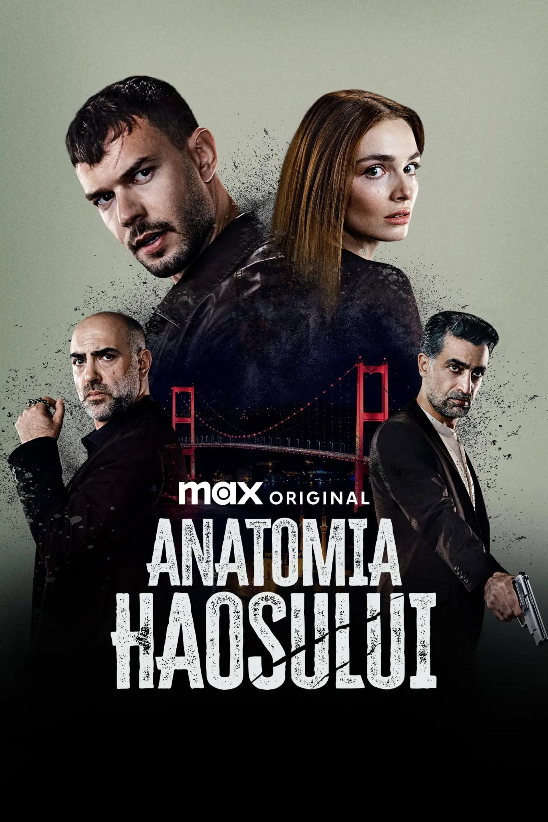 Anatomia haosului