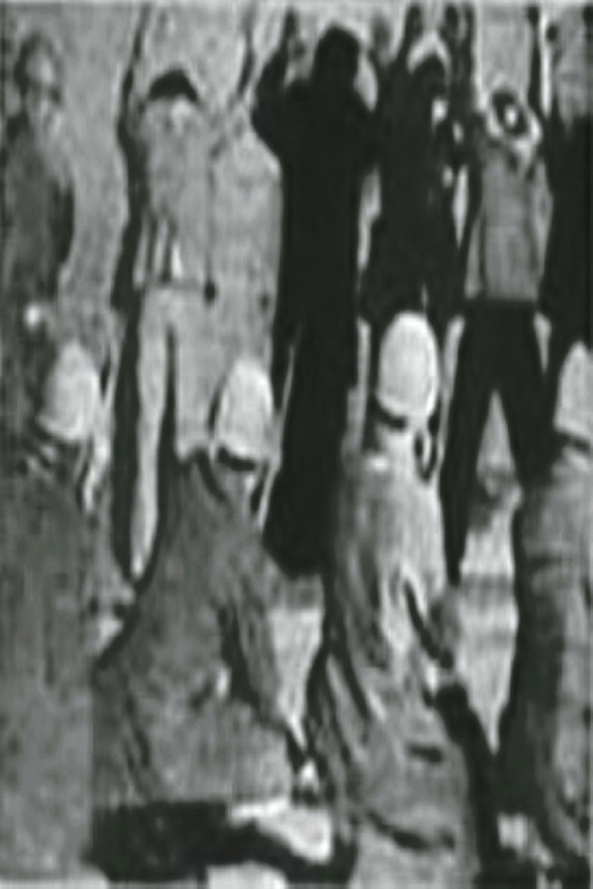 شجاعان ايستاده میميرند