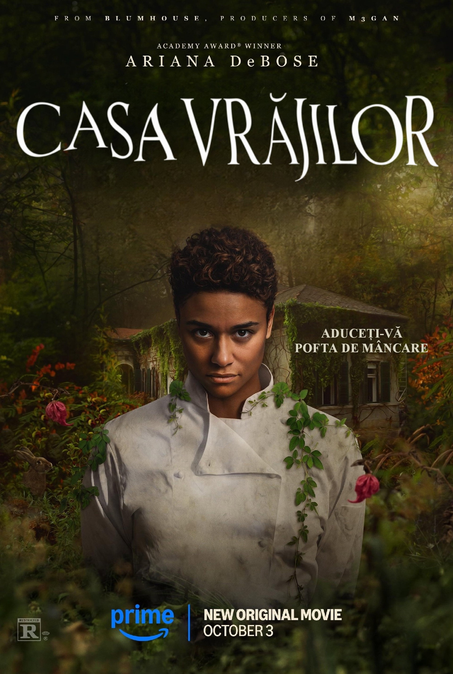 Casa vrăjilor
