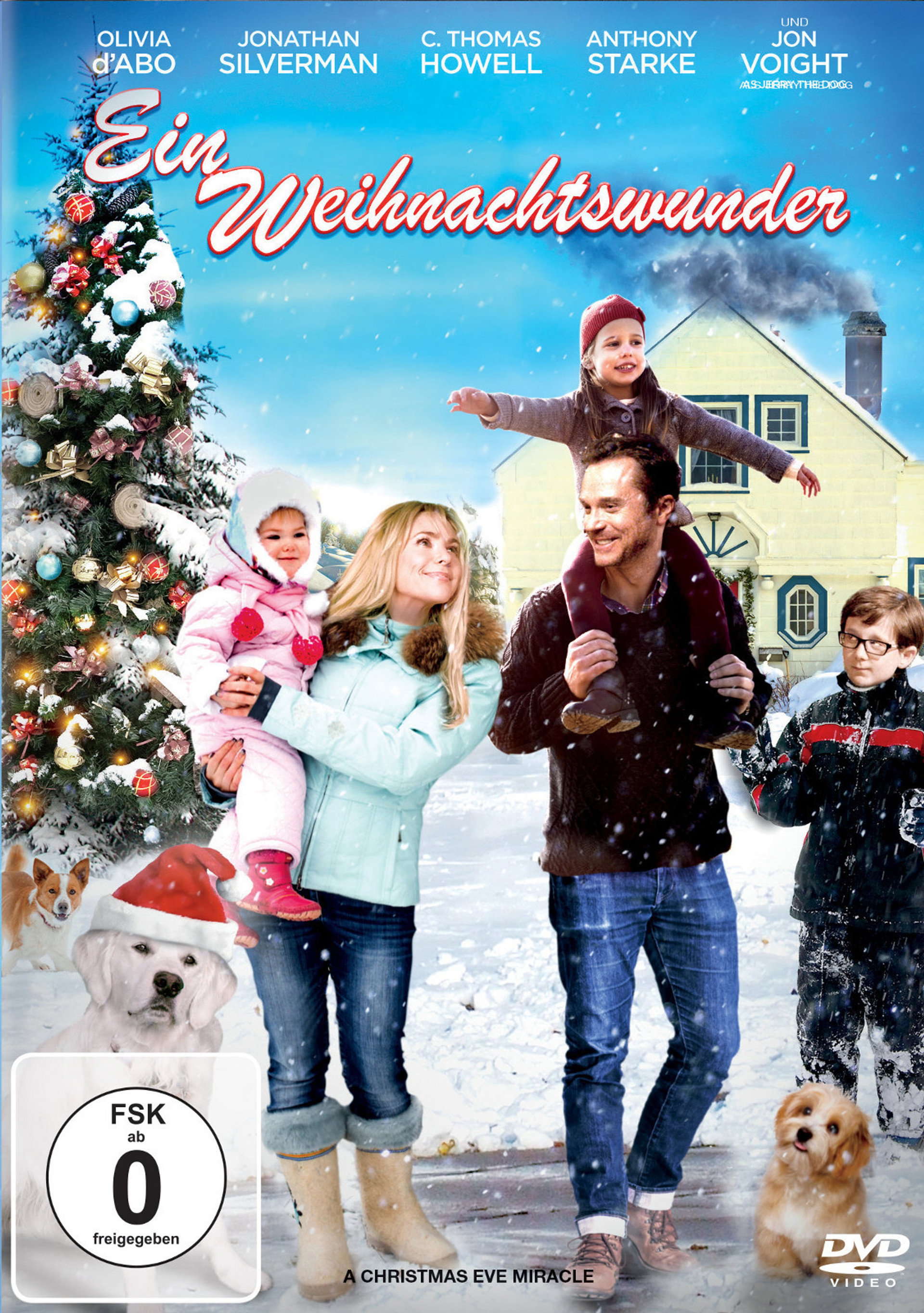 Ein Weihnachtswunder