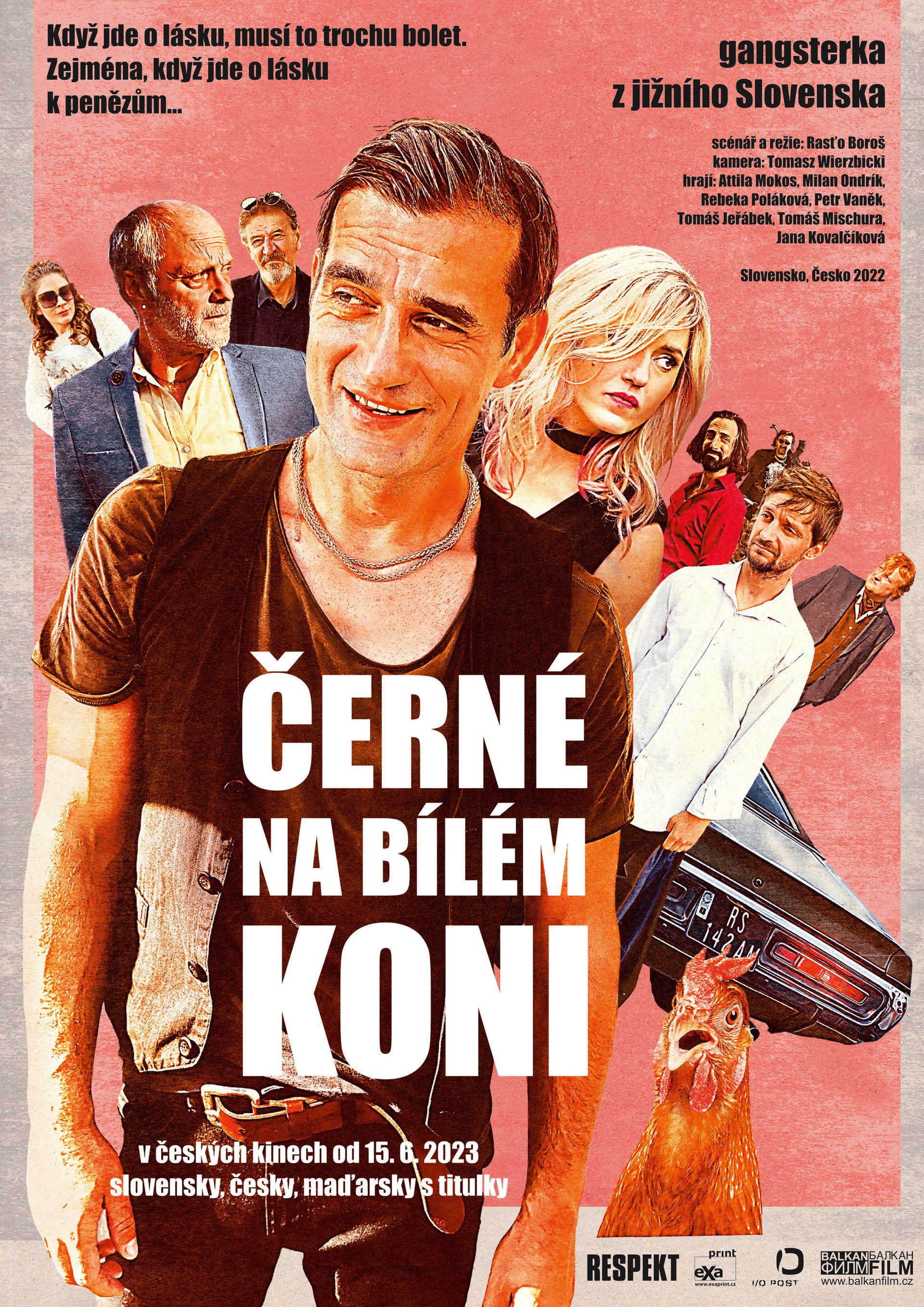 Černé na bílém koni