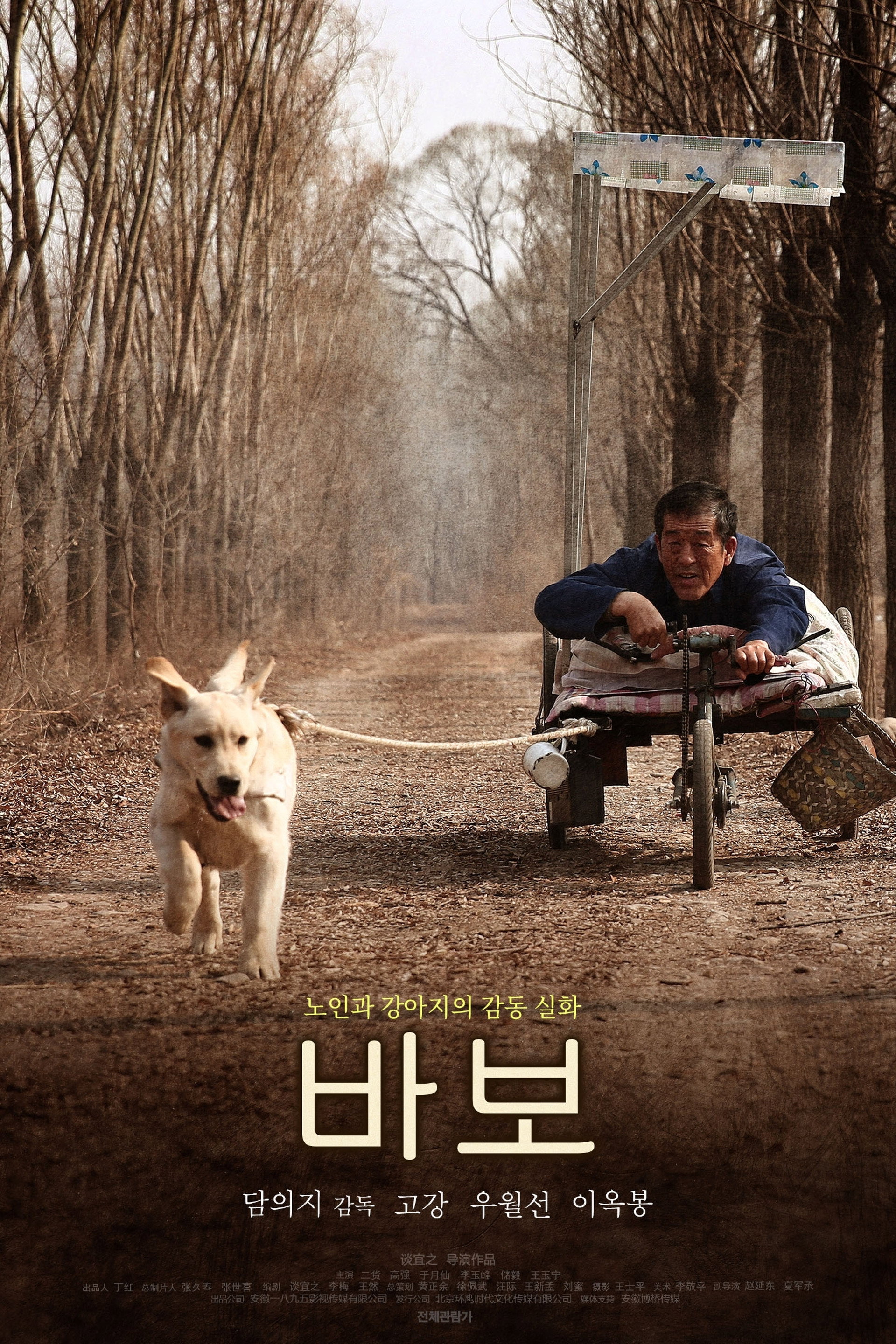 바보