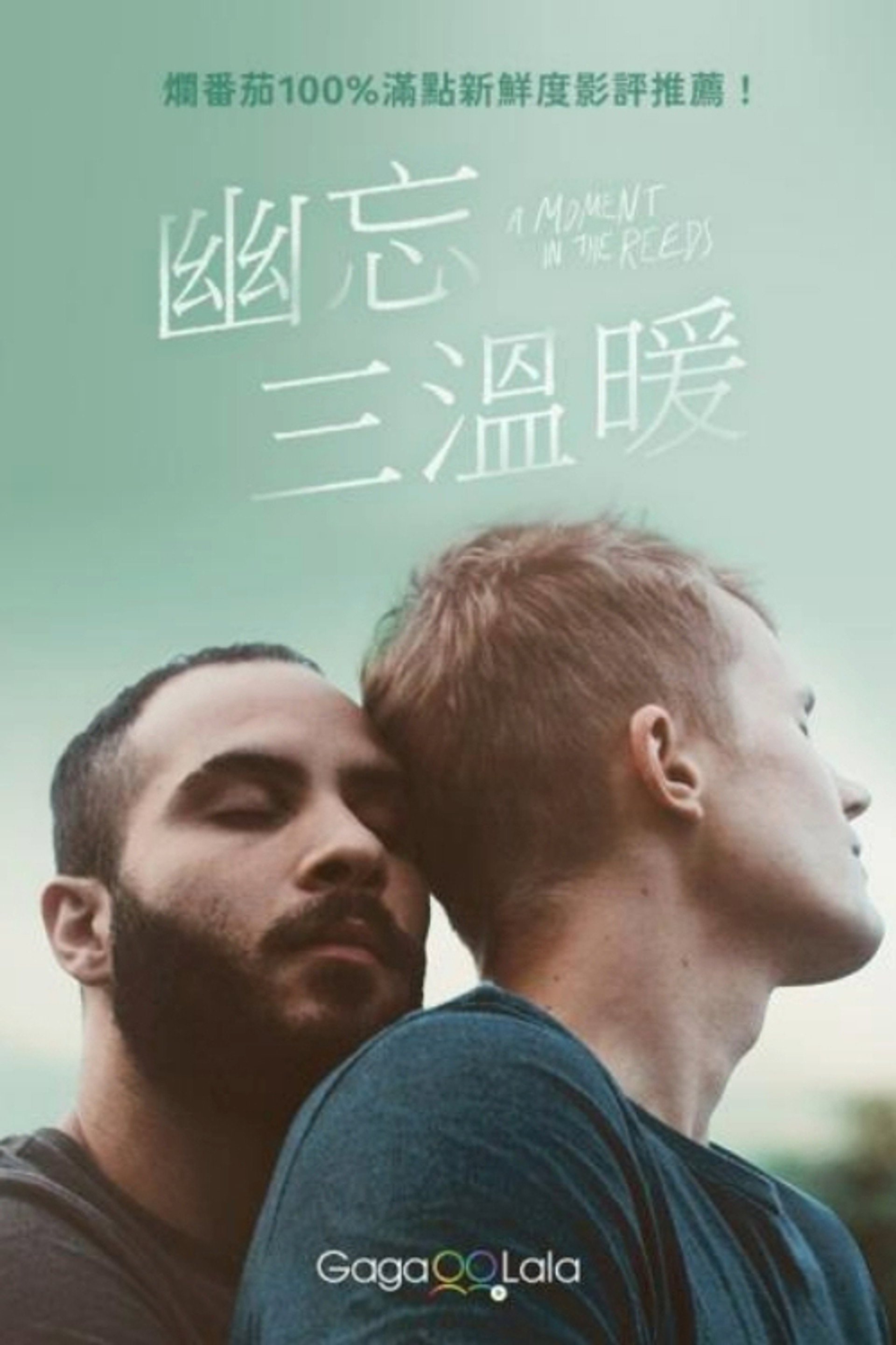 芦苇荡的时光