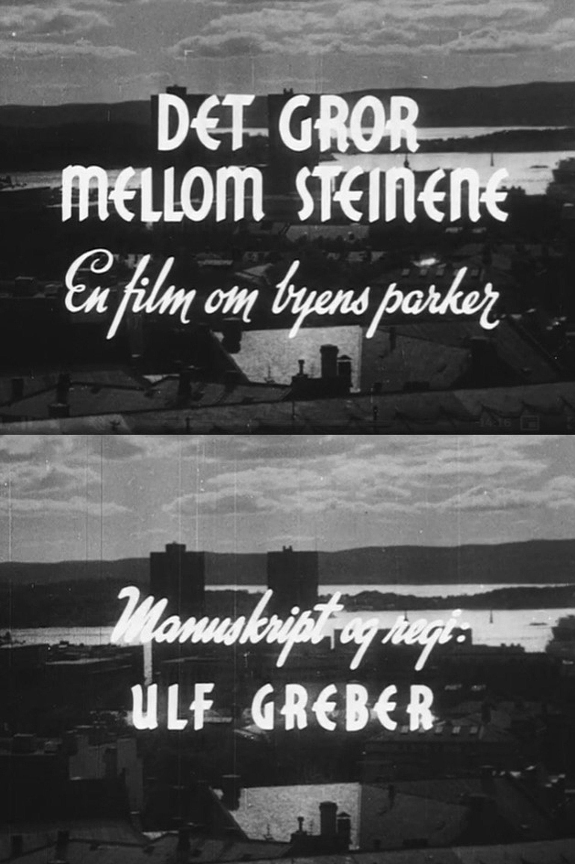 Oslofilm: Det gror mellom steinene