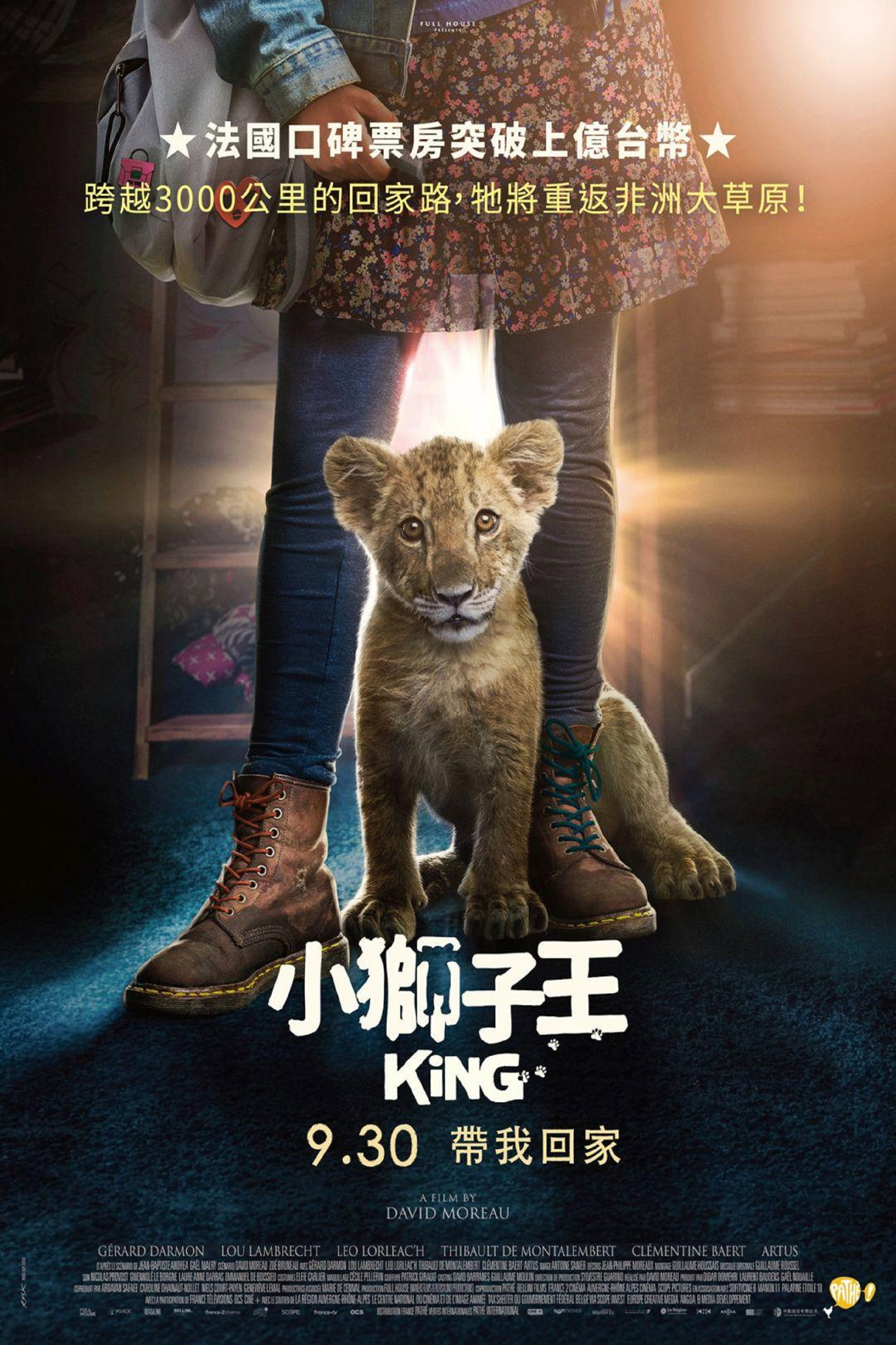 我的小狮王