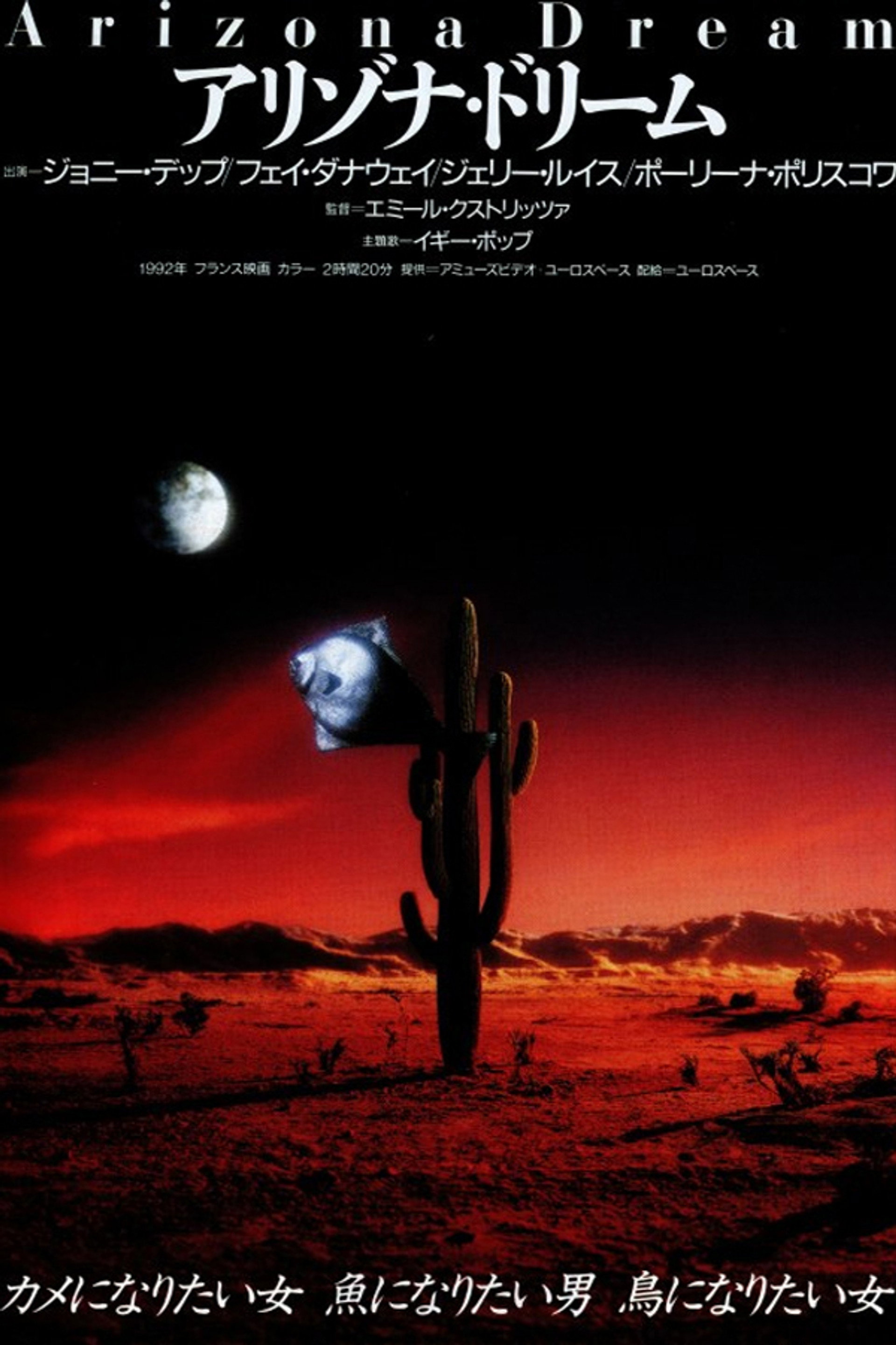 アリゾナ・ドリーム