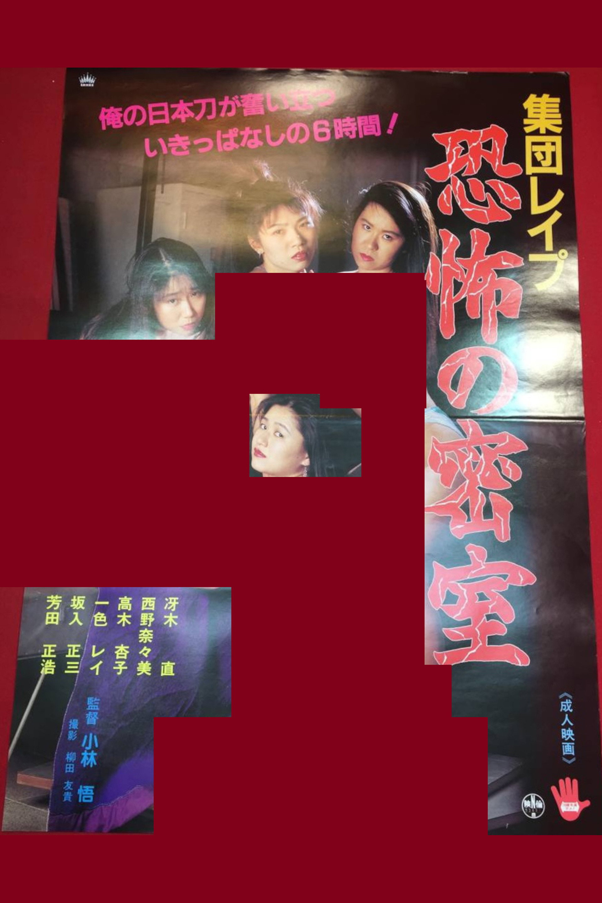 集団レイプ 恐怖の寝室