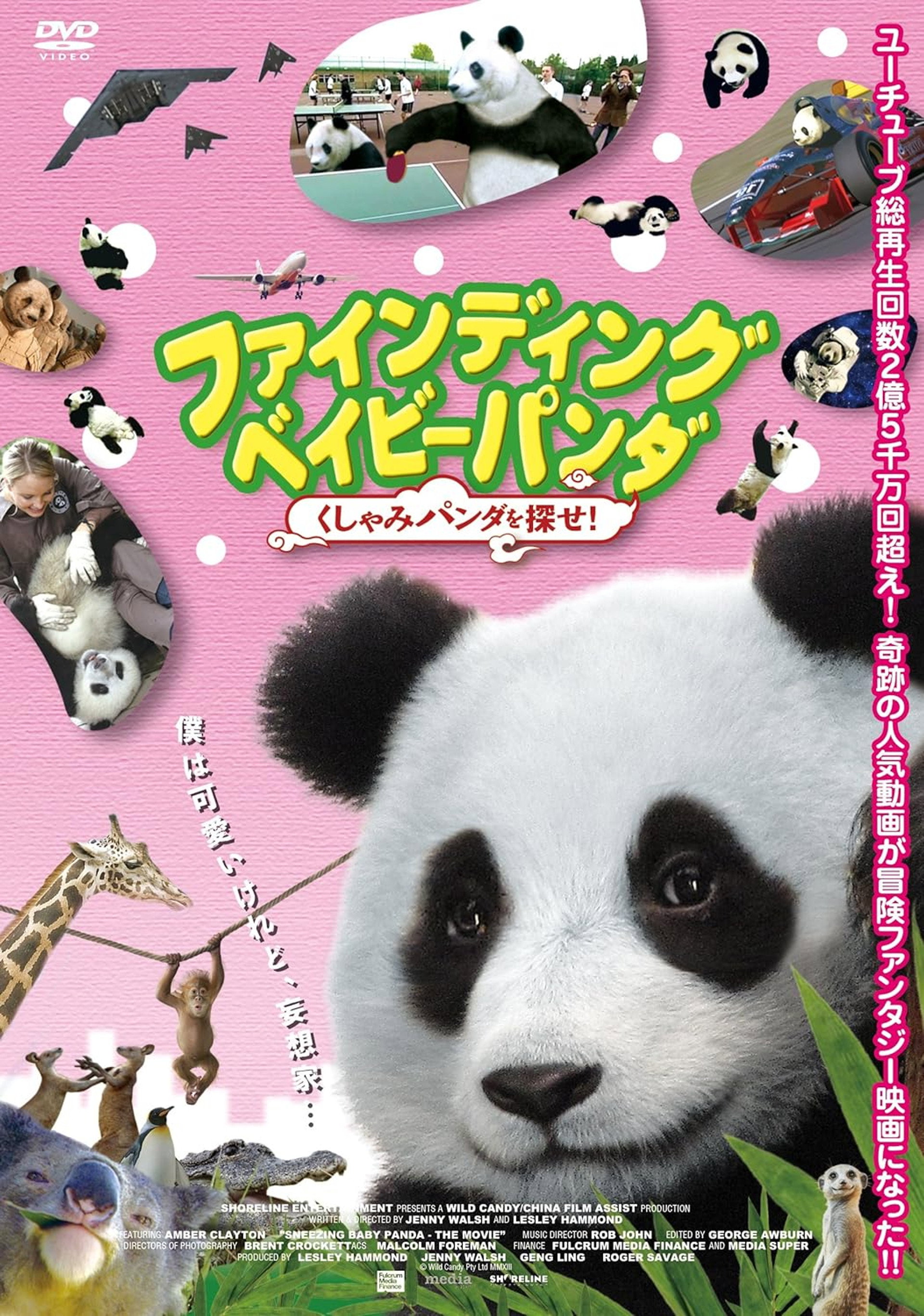 ファインディング ベイビー パンダ くしゃみパンダを探せ!