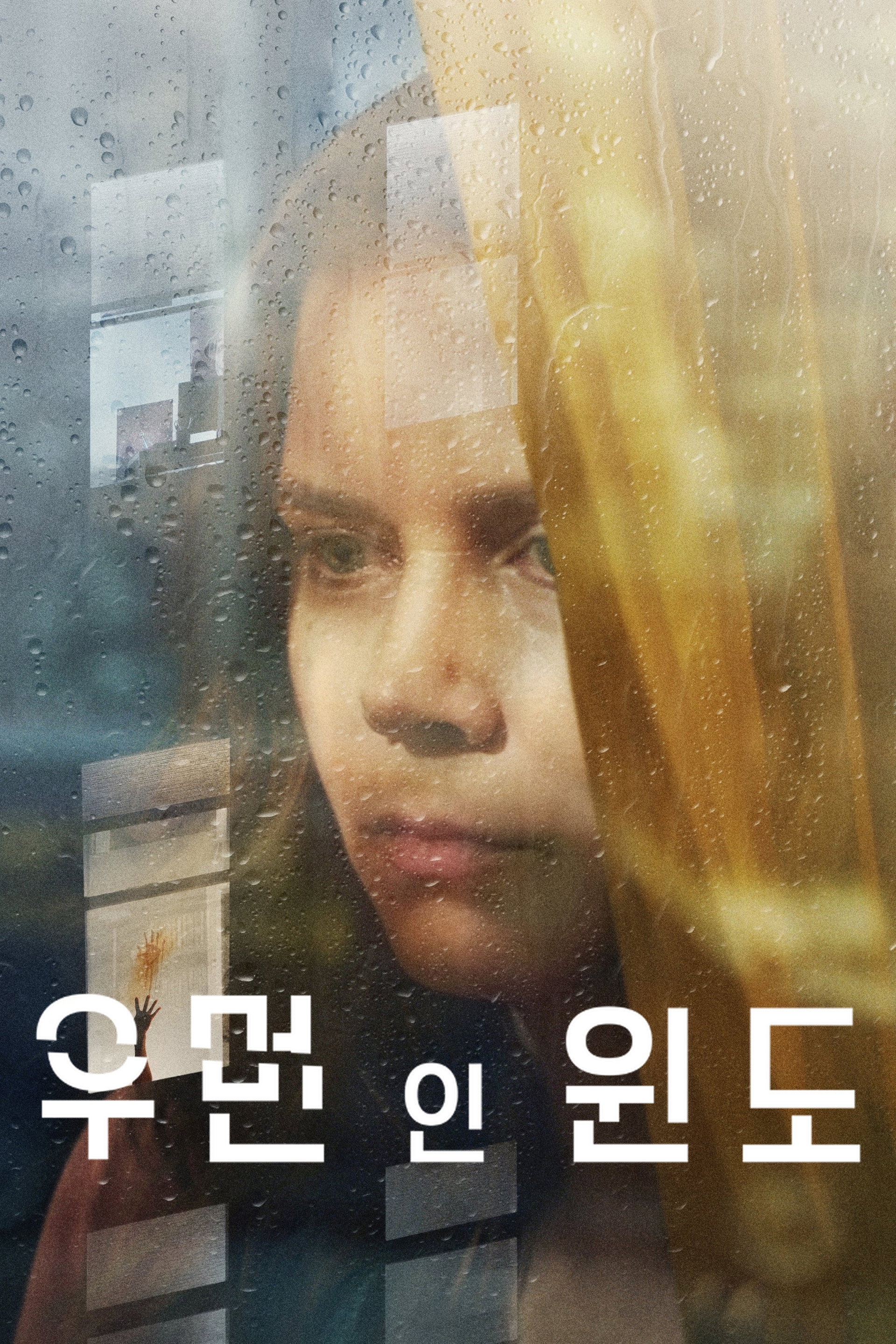 우먼 인 윈도