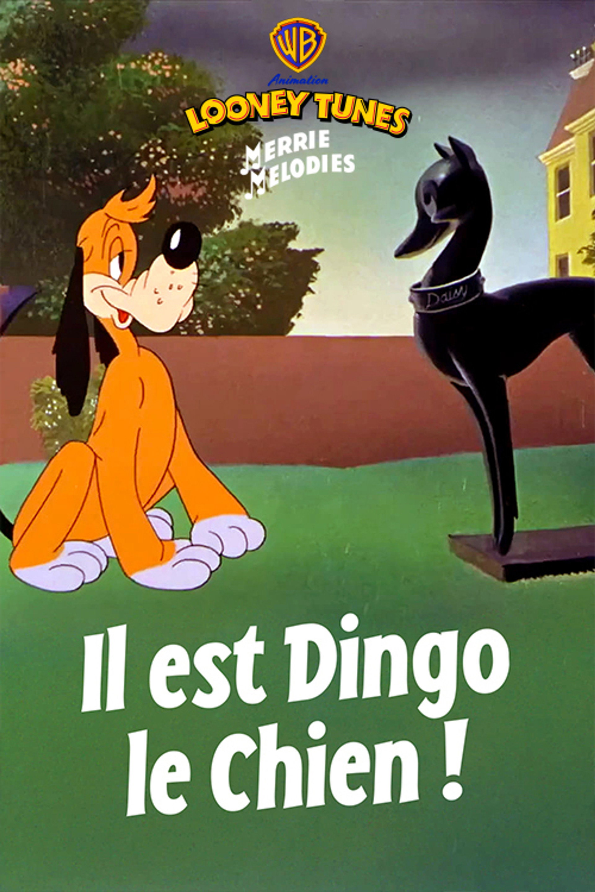 Il est dingo le chien