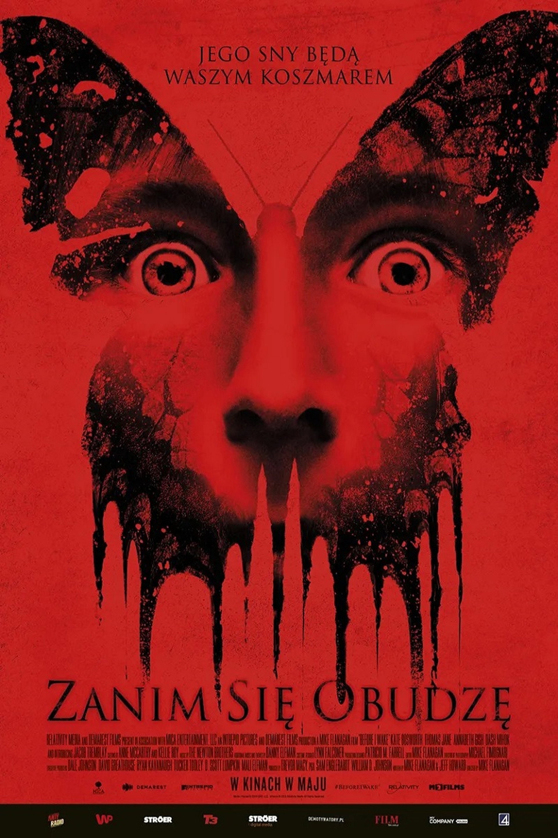 Zanim się obudzę