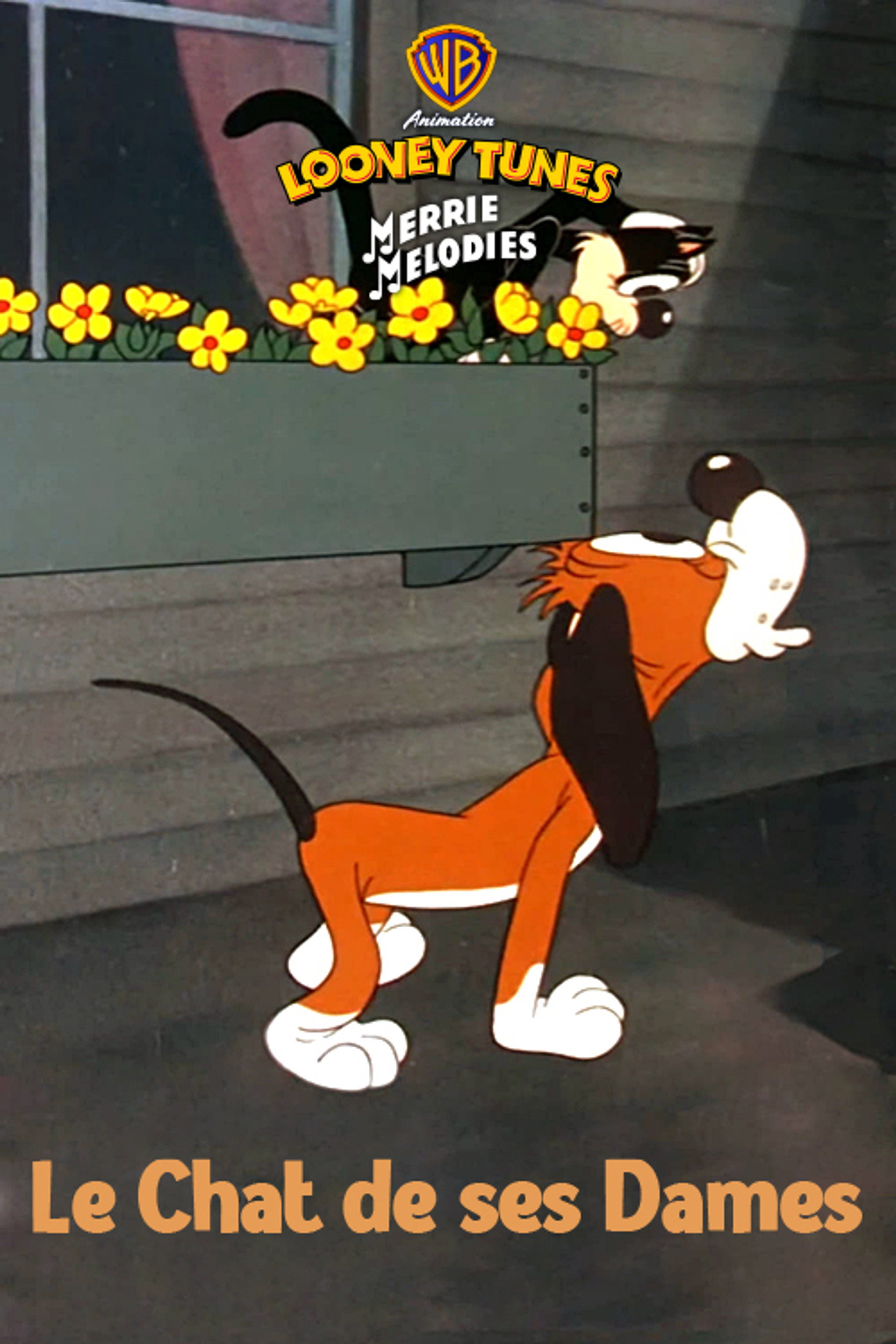 Le chat de ces dames