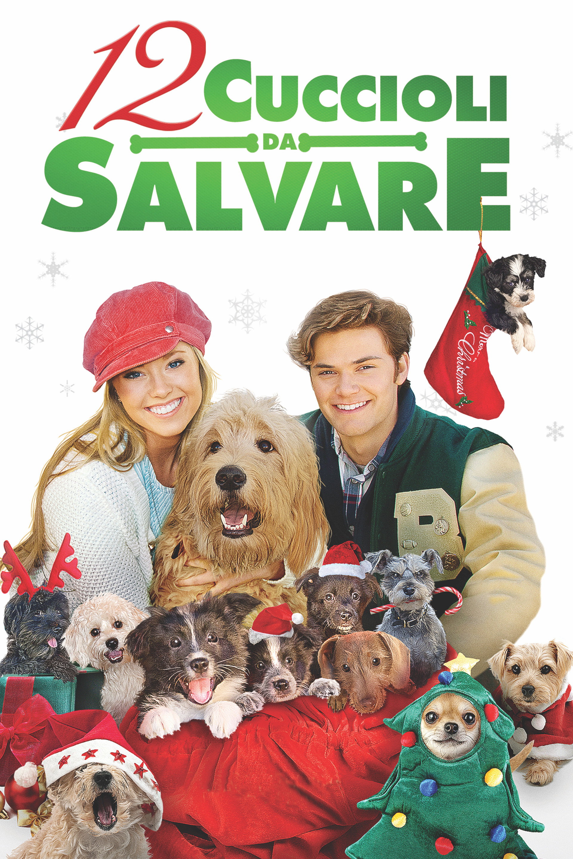 12 cuccioli da salvare