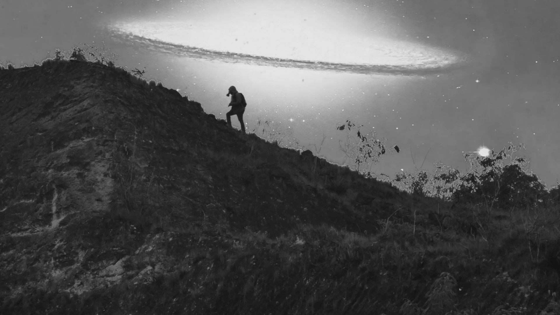 Terrarium of the Sleepless