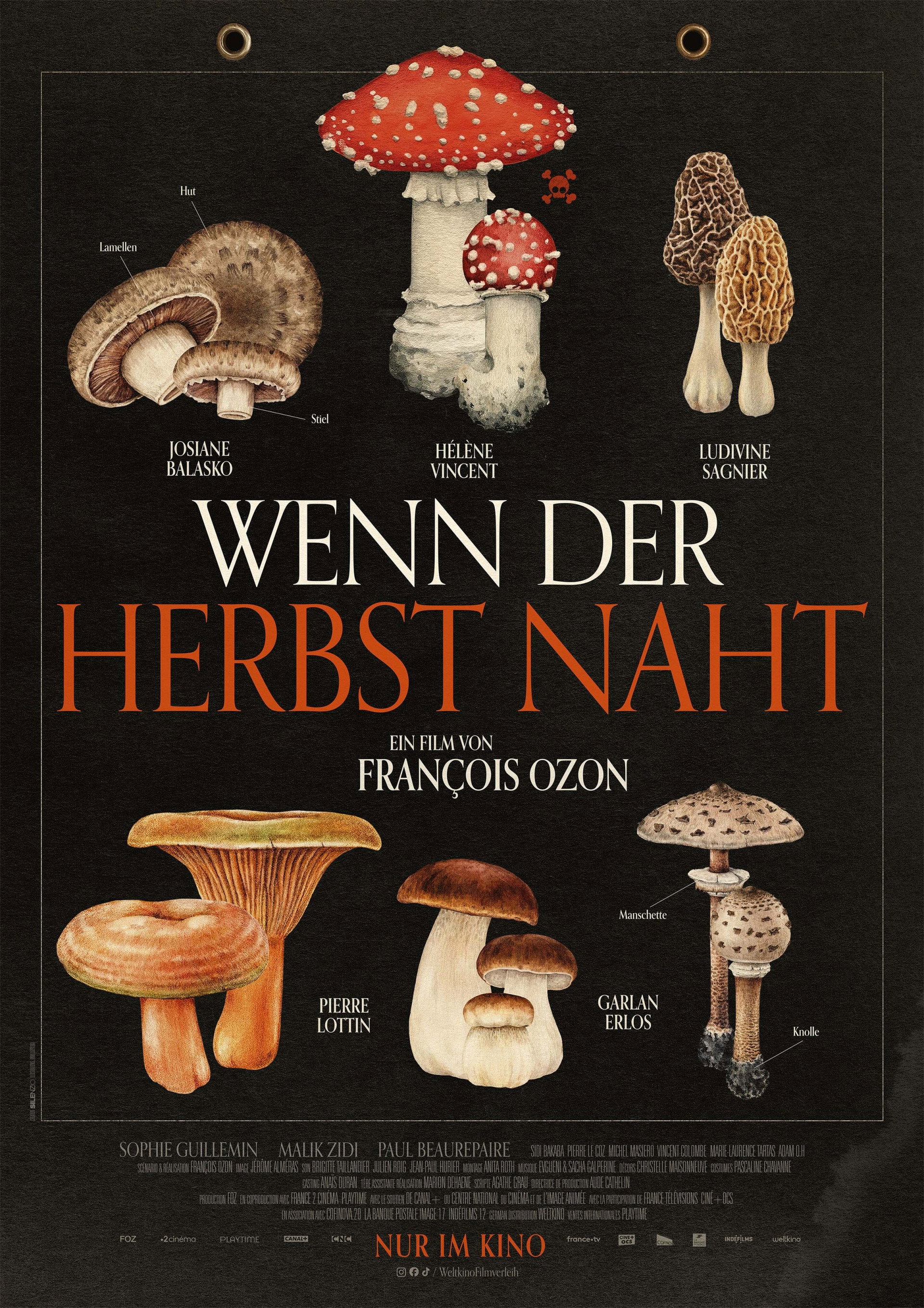 Wenn der Herbst naht