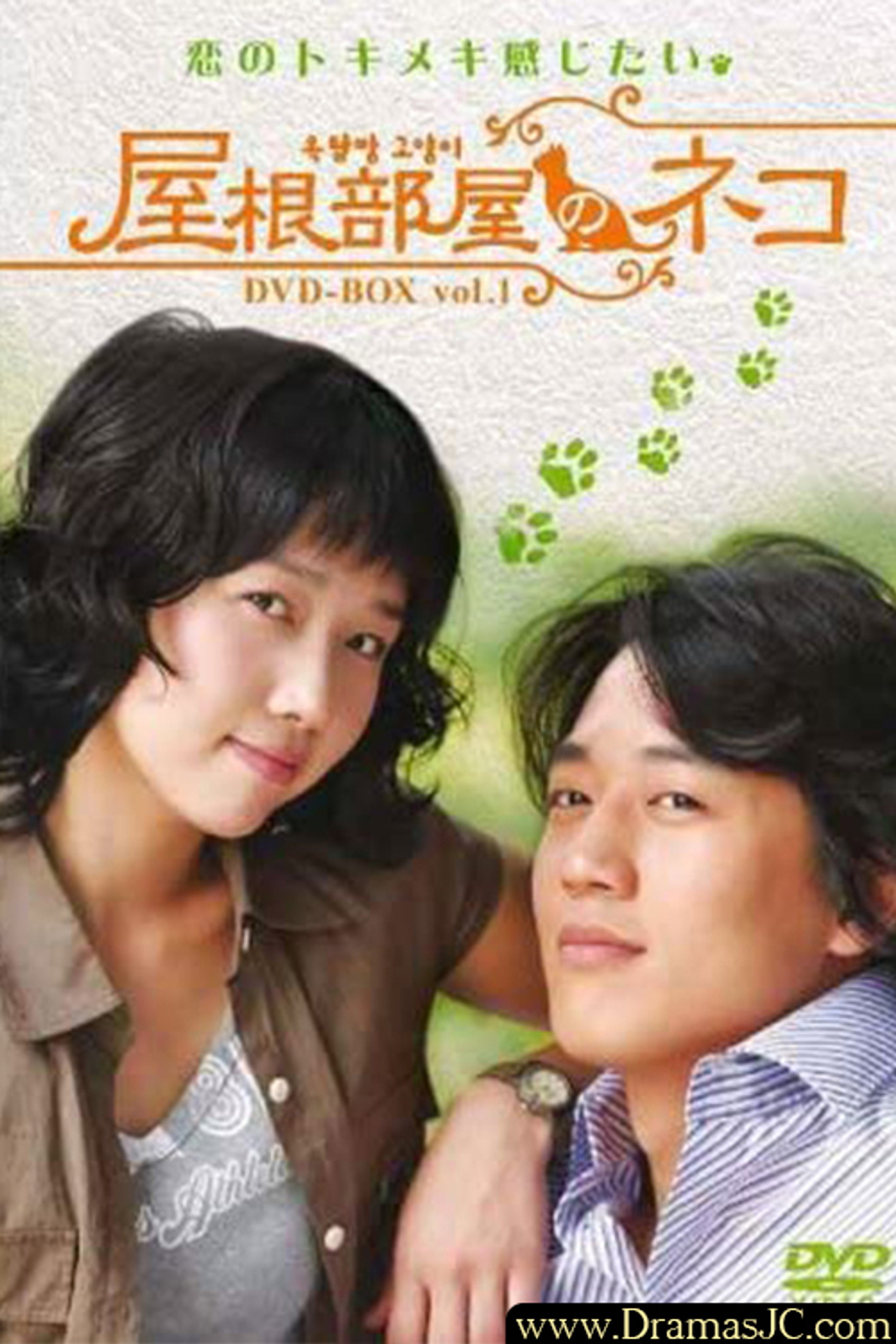 옥탑방 고양이
