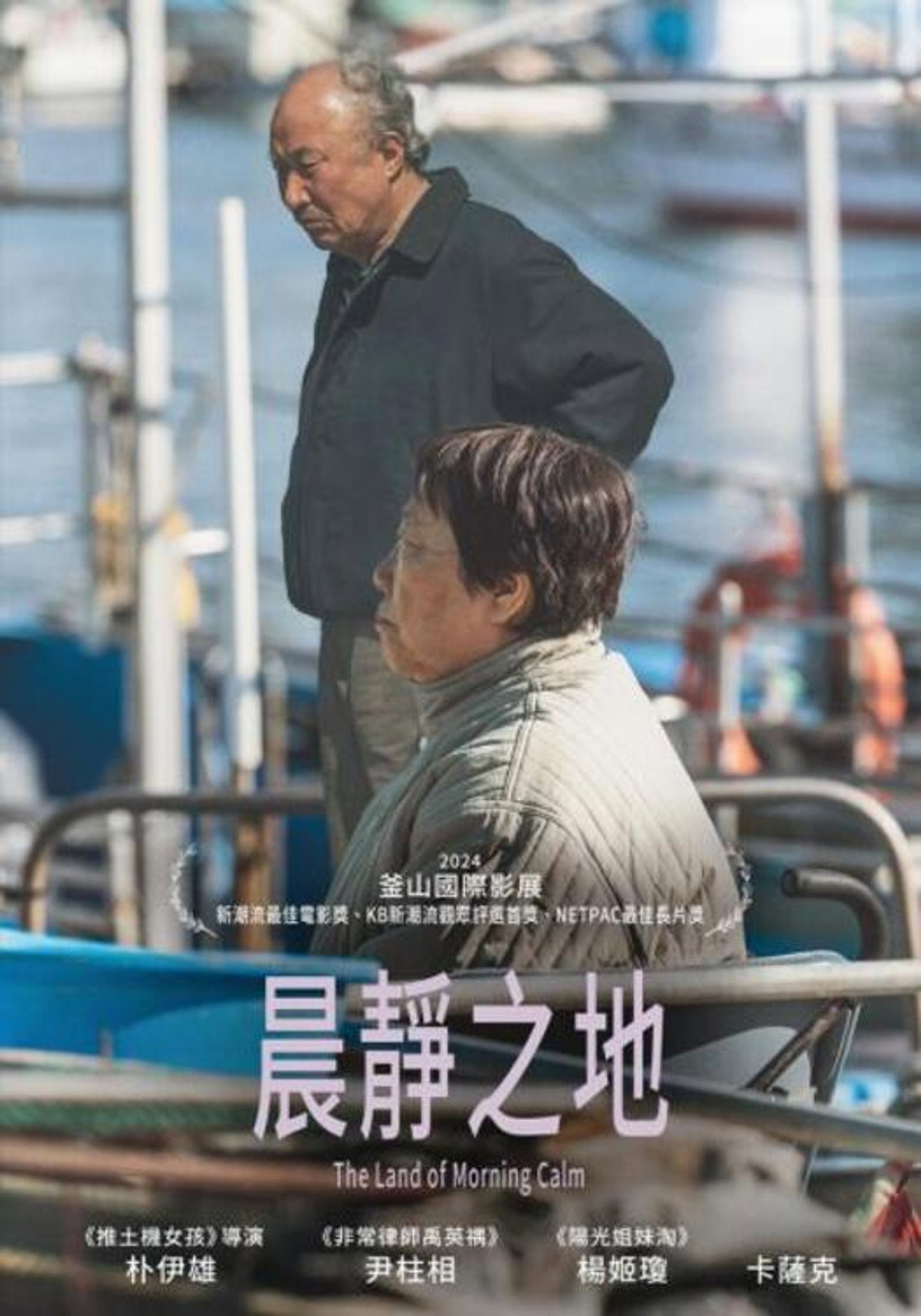 晨海的海鸥