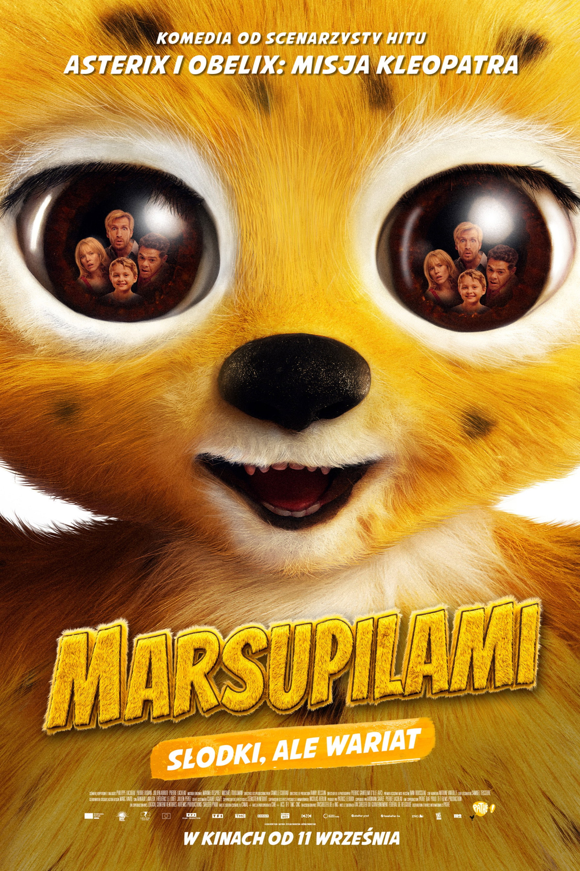 Marsupilami