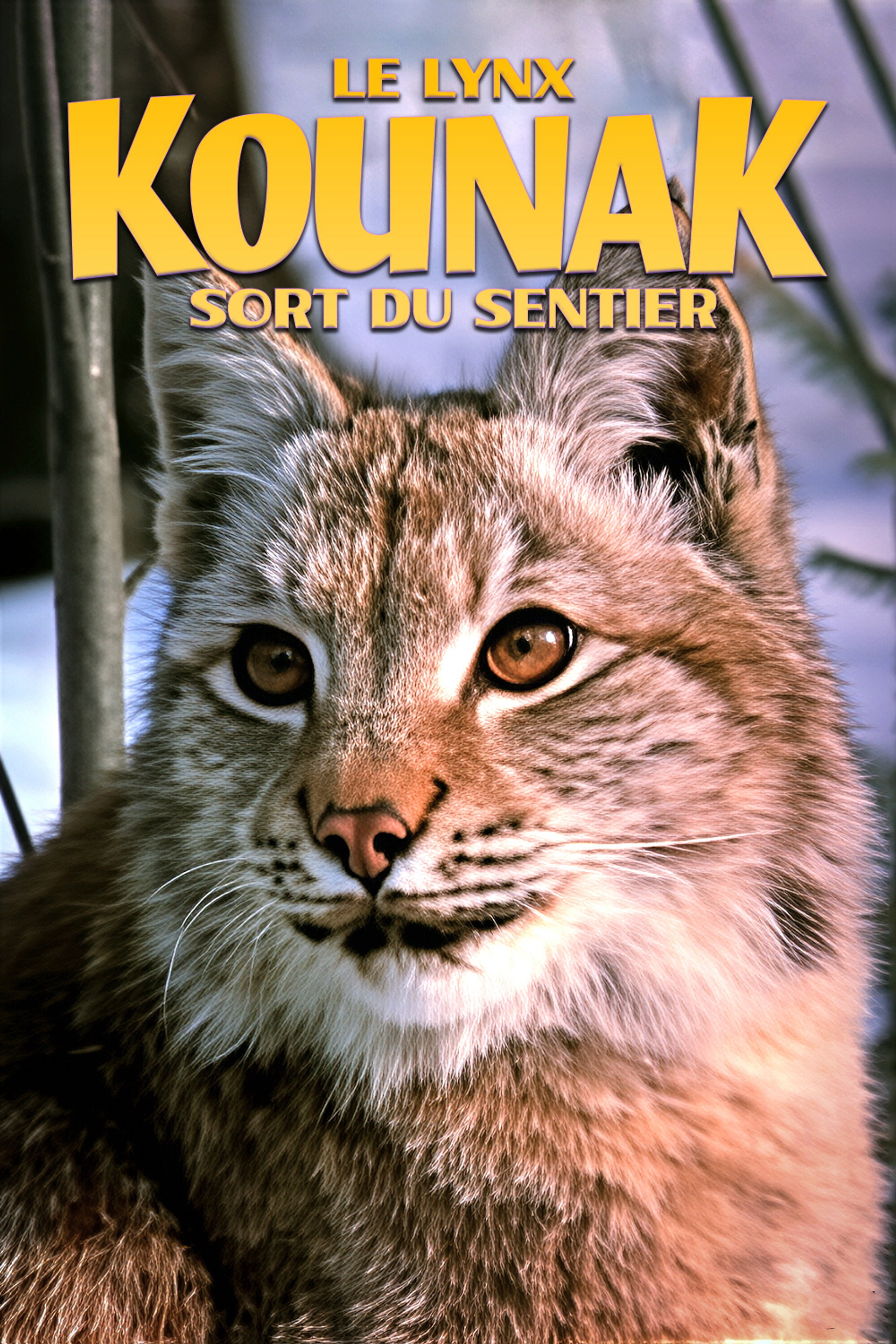 Le lynx Kounak sort du sentier