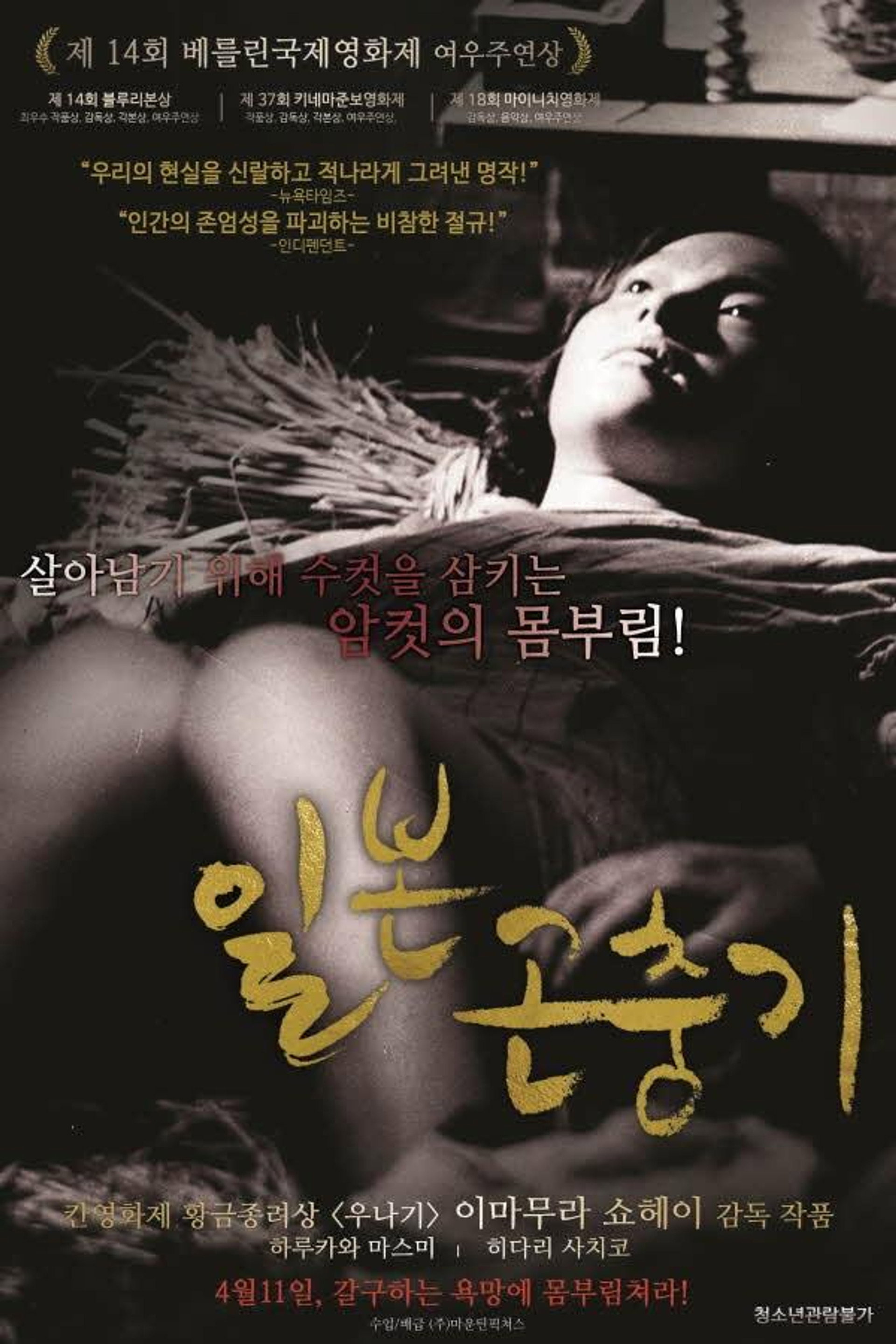 일본곤충기