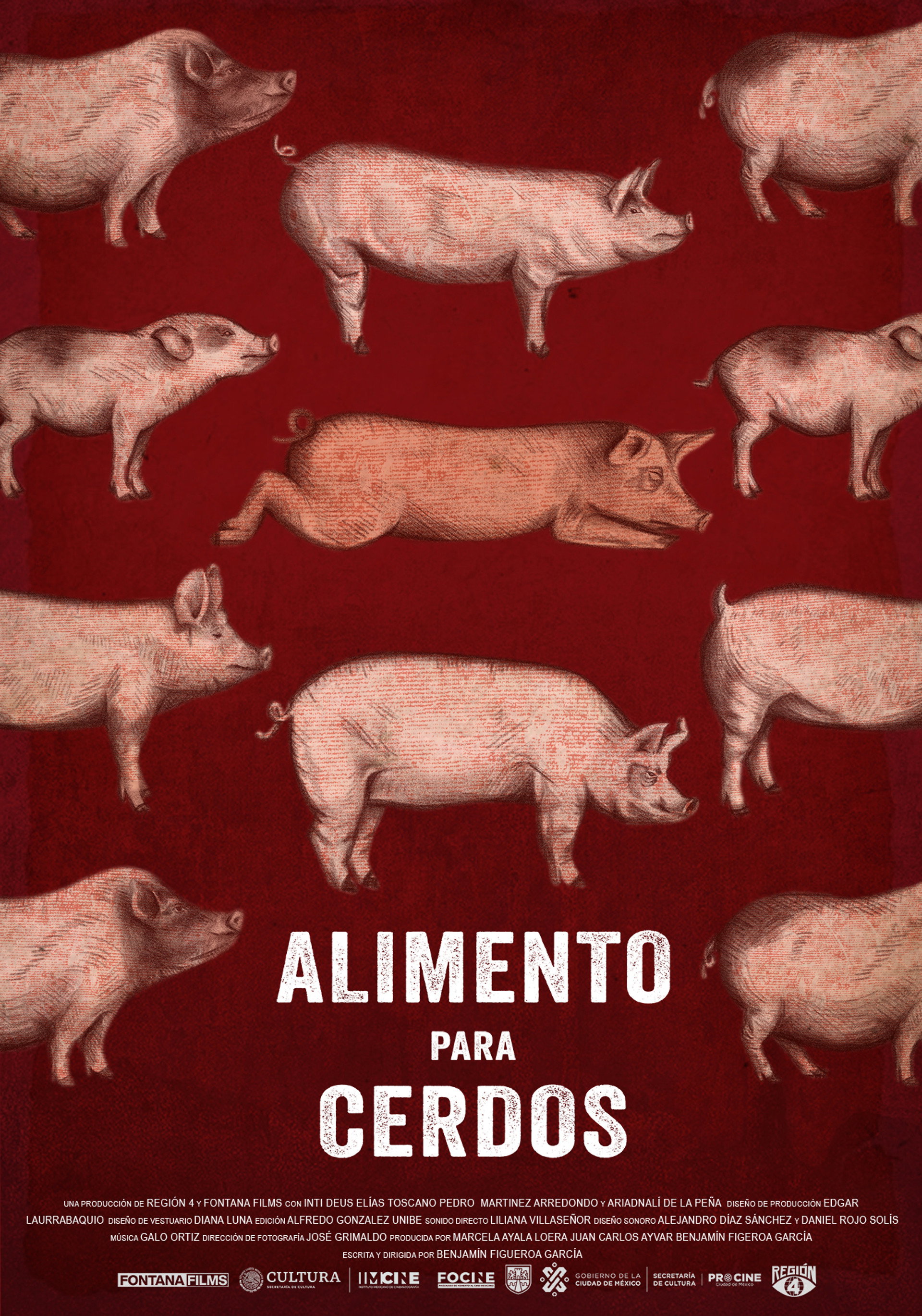 Alimento para cerdos