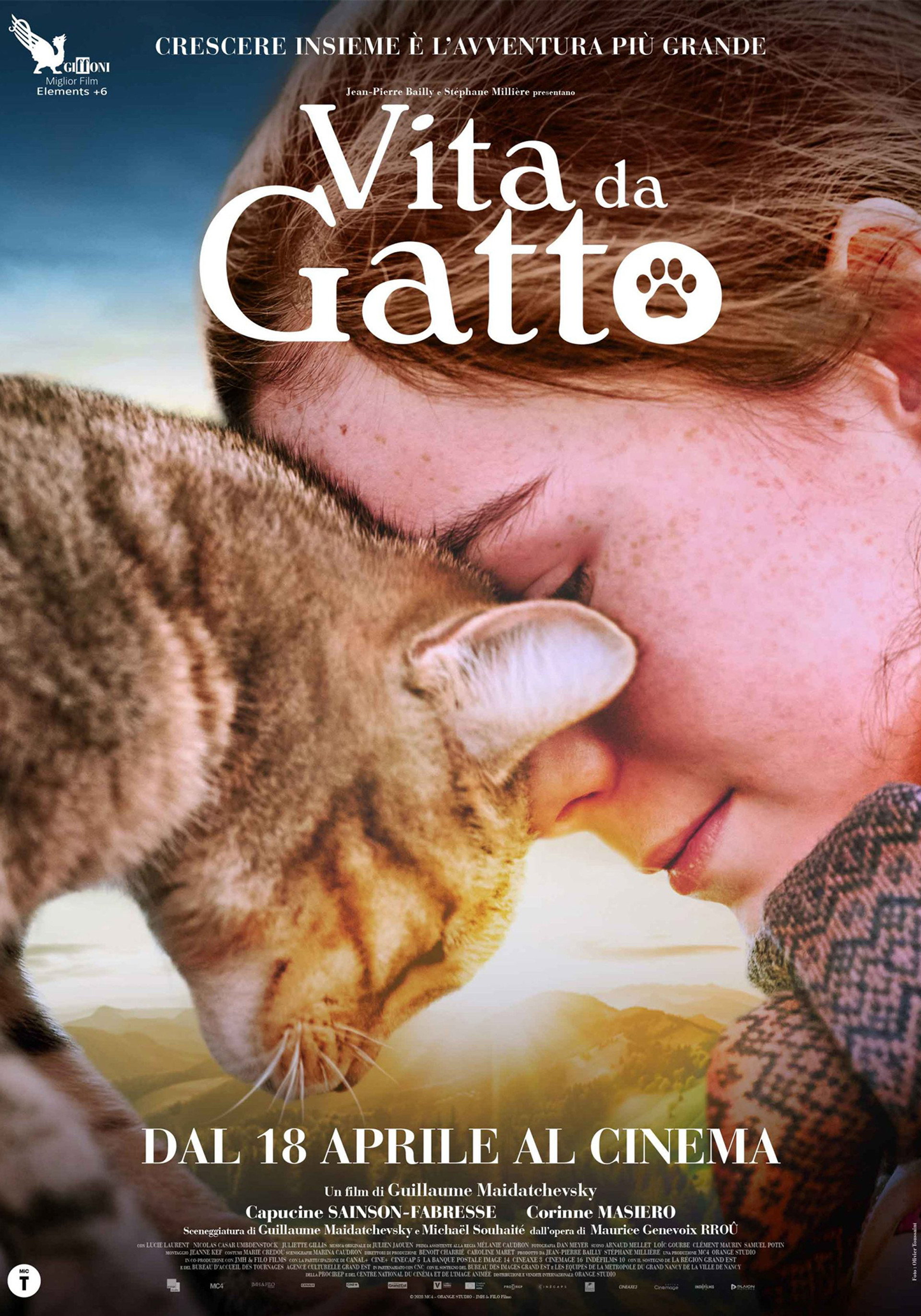 Vita da gatto