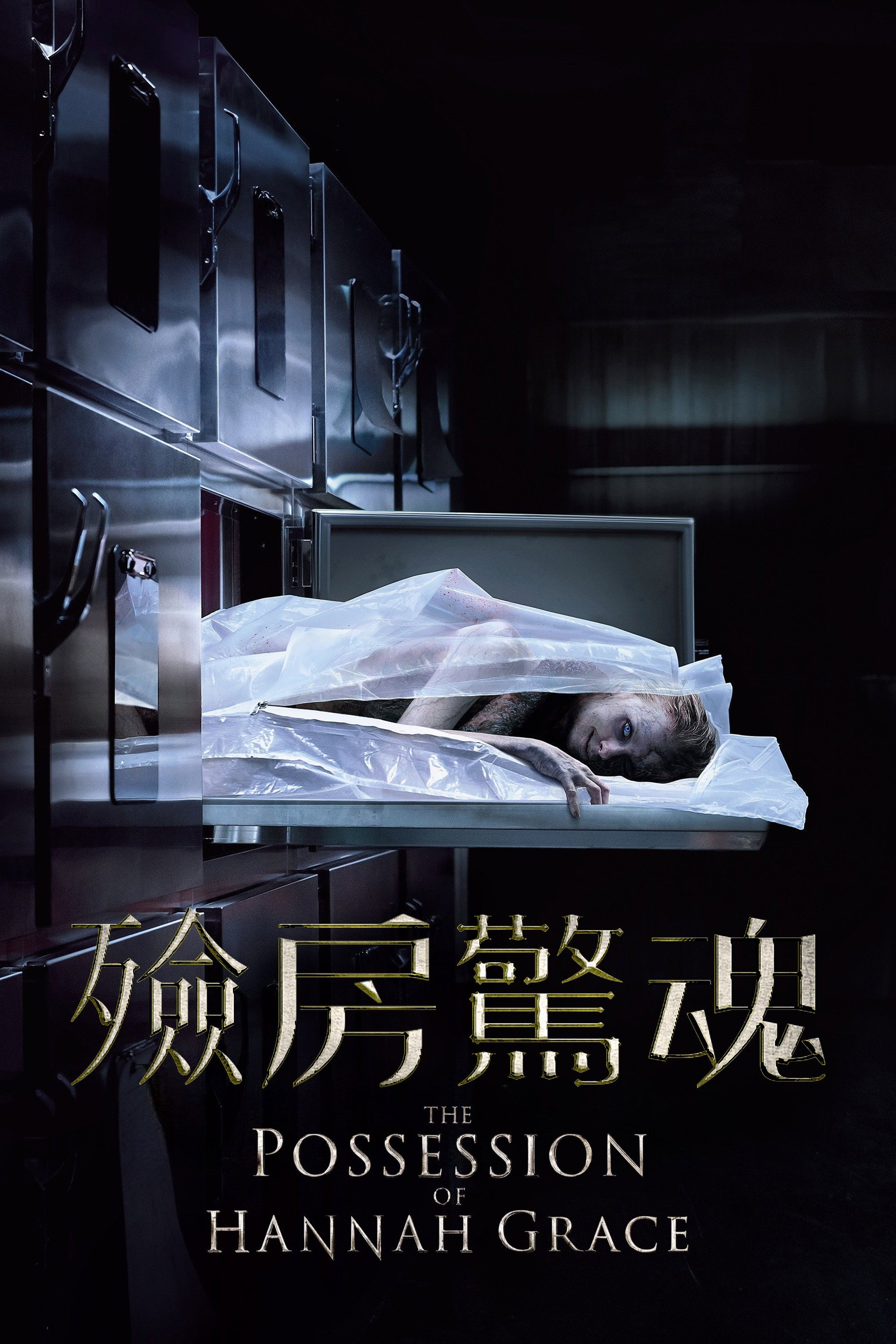 汉娜格蕾丝的着魔